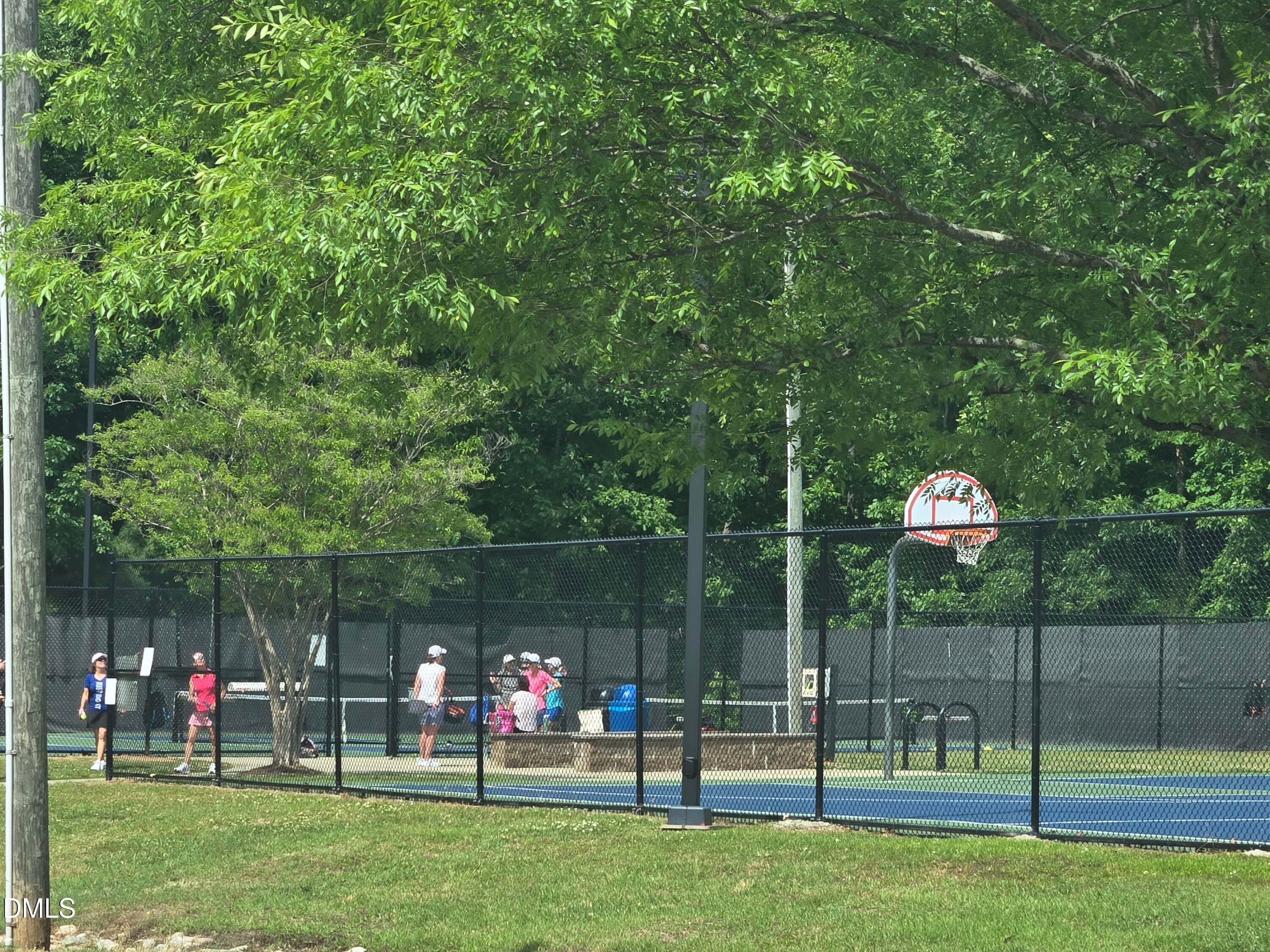 basketball courts - 1757 Laurel Park Place, Cary, NC 27511