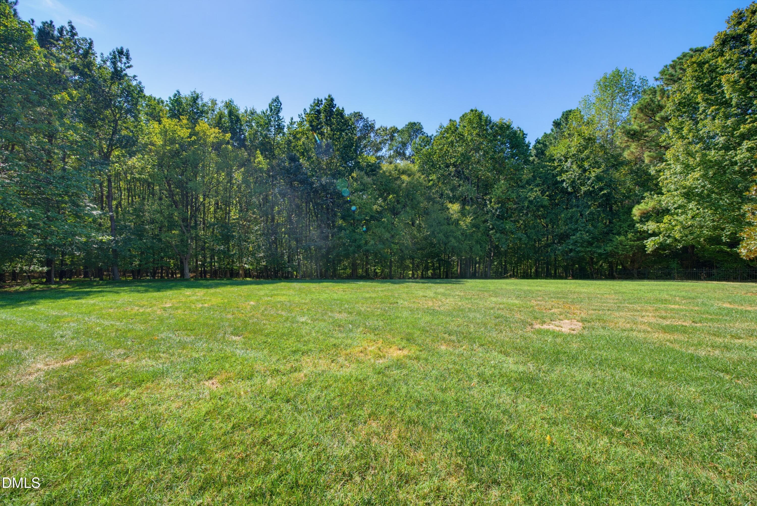 DSC08174 - 6592 Wakefalls Drive, Wake Forest, NC 27587