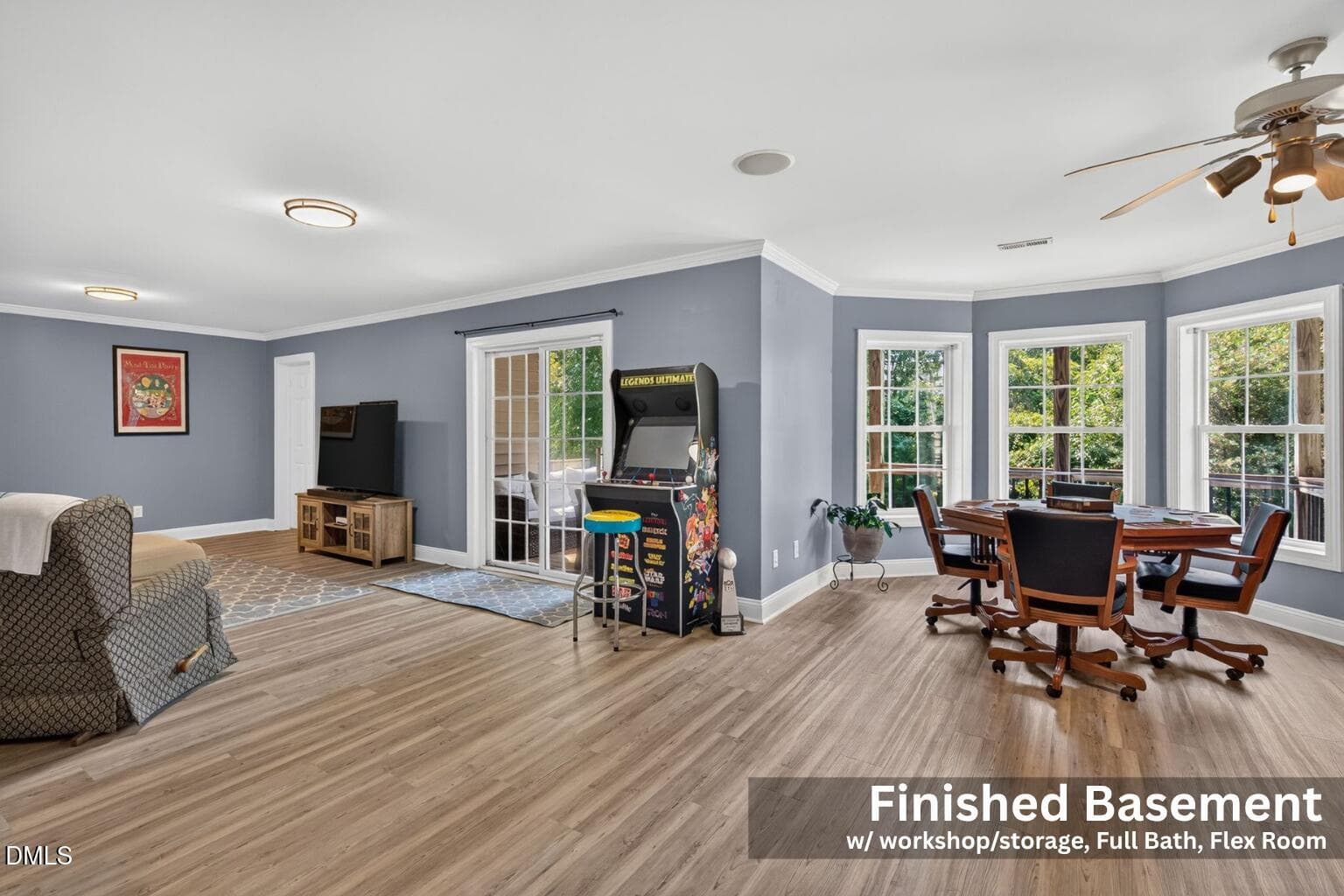 Finished Basement Living Area - 516 Deacon Ridge Street, Wake Forest, NC 27587