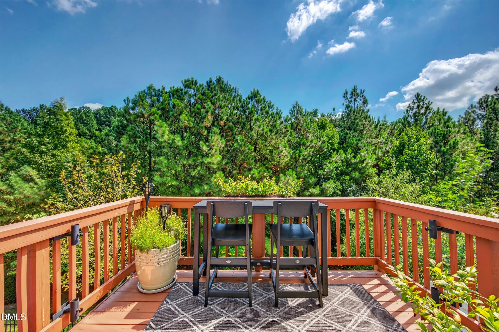 37_1143 platform dr-18 - 1143 Platform Drive, Apex, NC 27502