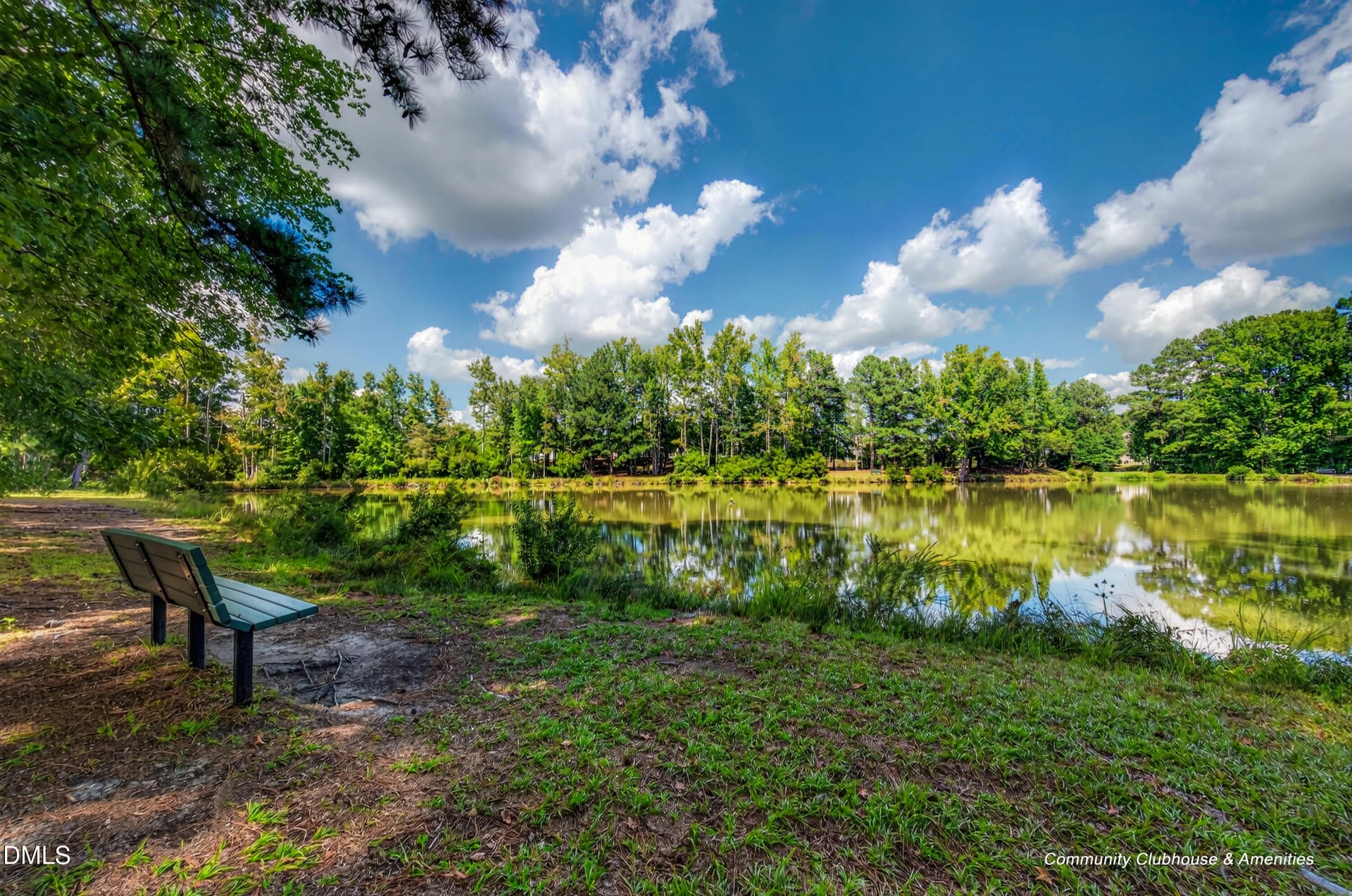 52_1143 platform dr-61 - 1143 Platform Drive, Apex, NC 27502