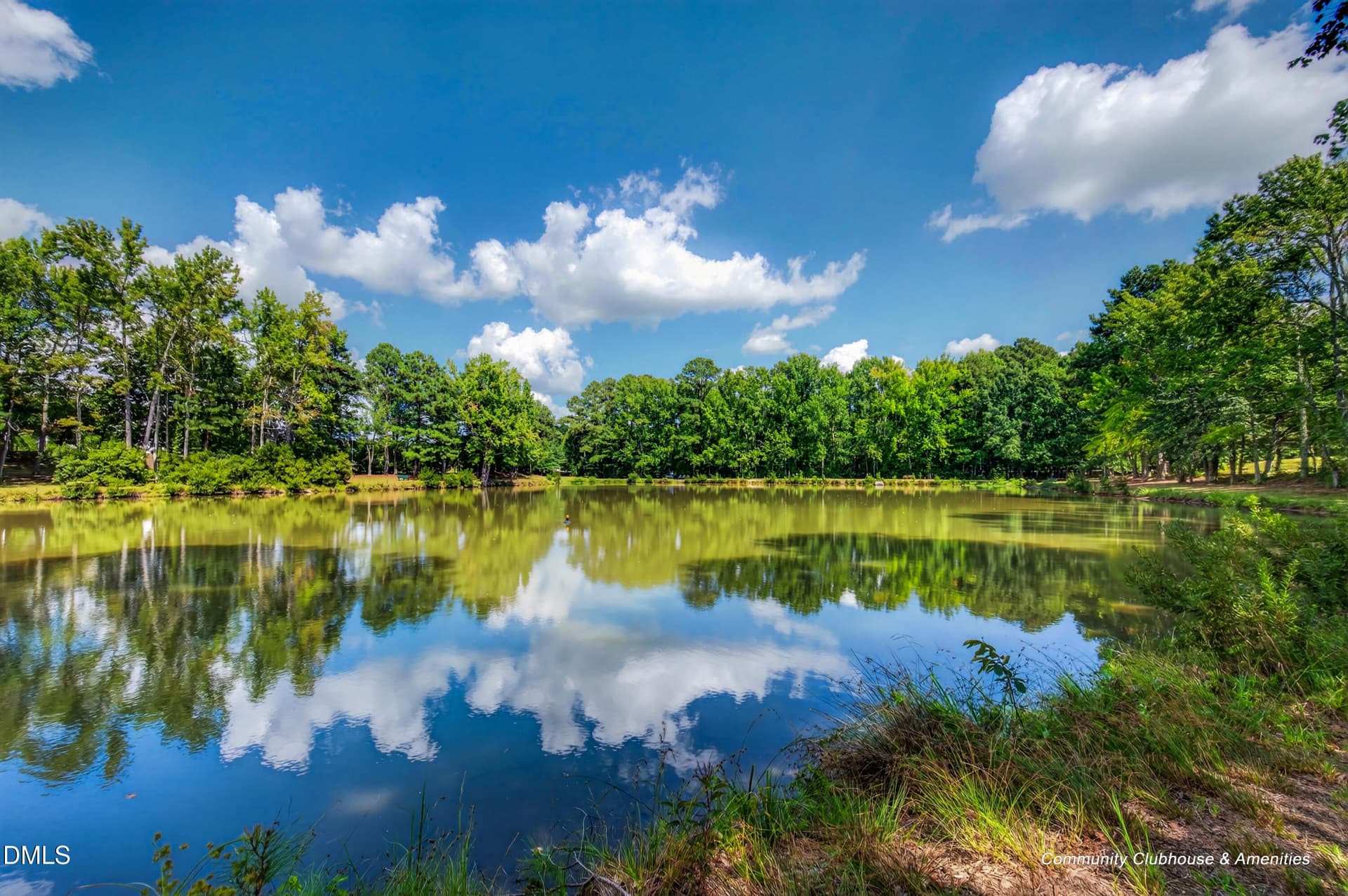 53_1143 platform dr-62 - 1143 Platform Drive, Apex, NC 27502