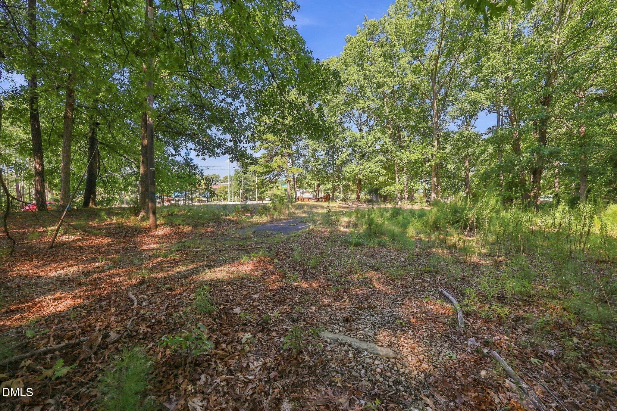 16-web-or-mls-IMG_5873 copy - 5710 Glenwood Avenue, Raleigh, NC 27612