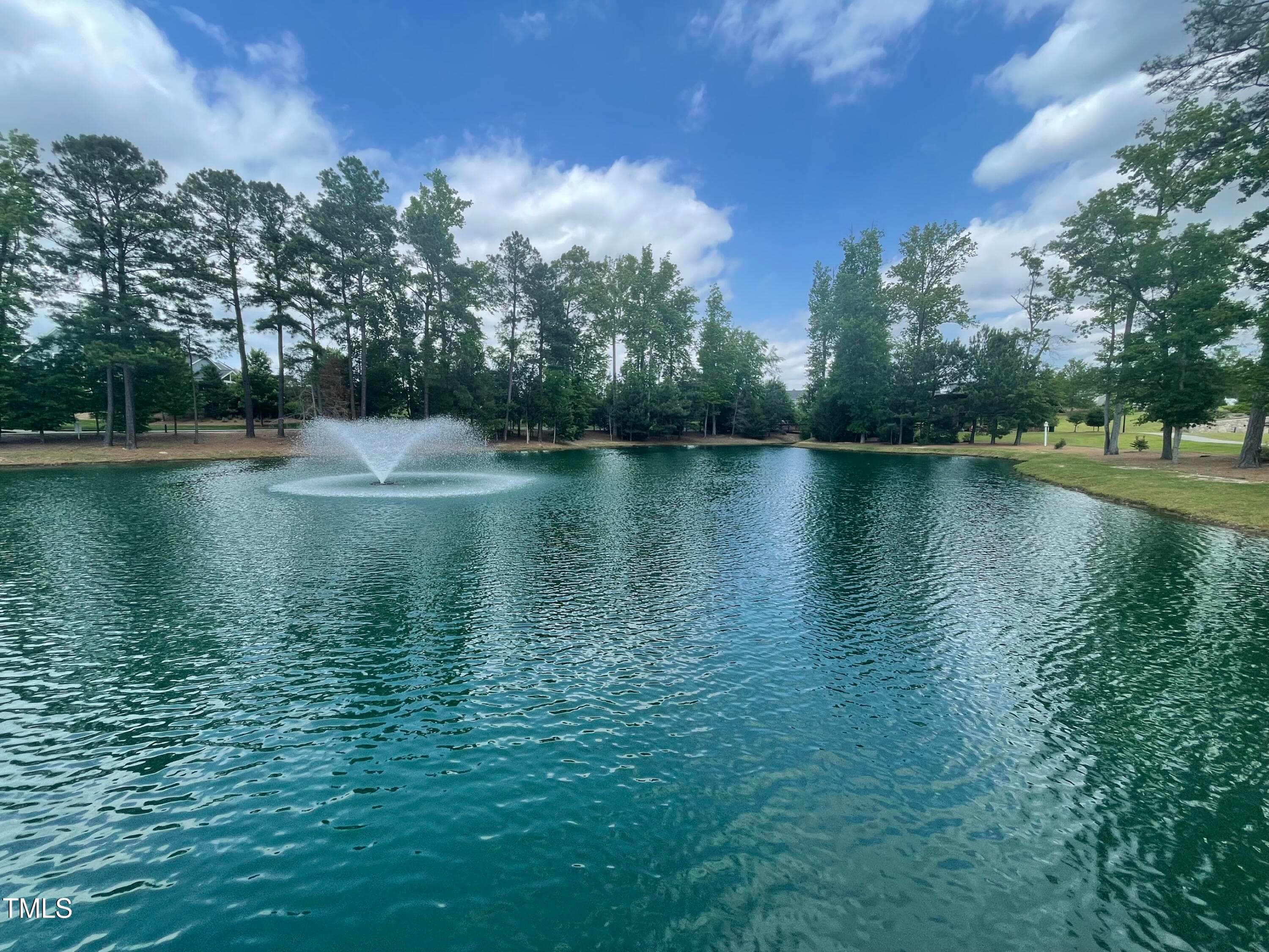 Lake_Wendell_Falls - 1492 Wendell Valley Boulevard, Wendell, NC 27591