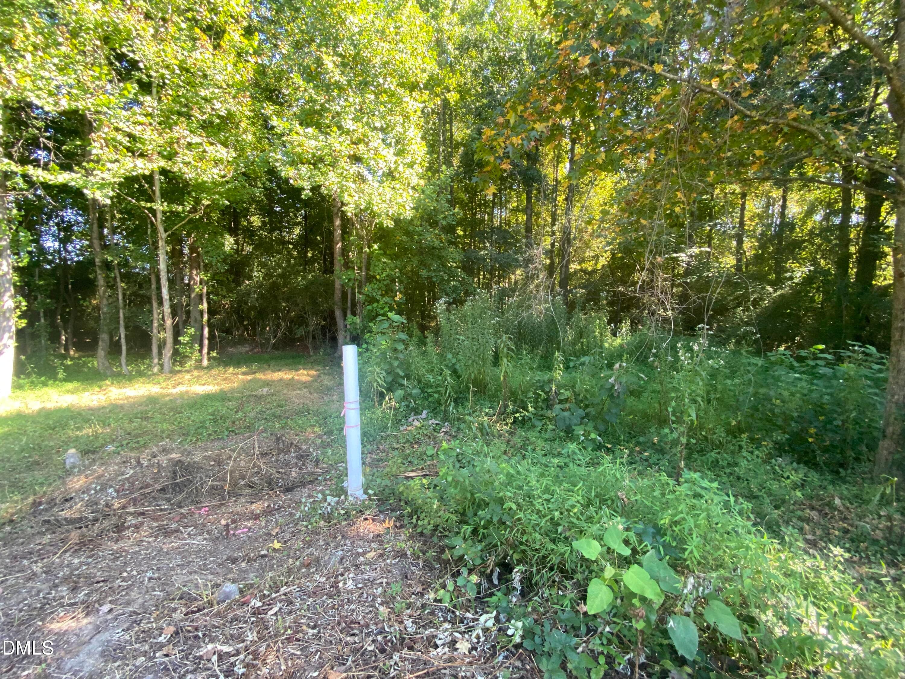 229 Sterling Way picture 3 - 260 Sterling Way, Angier, NC 27501