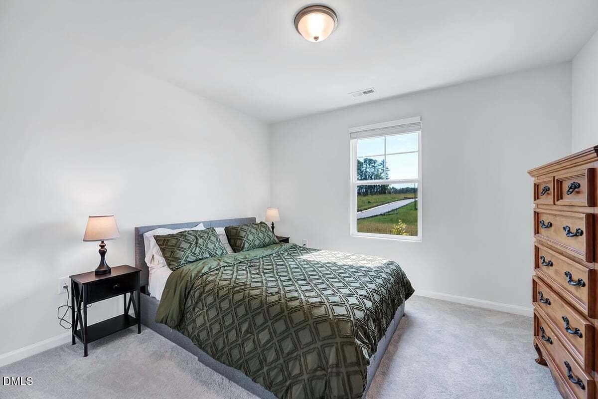 3rd Bedroom - 285 Carolina Maple Drive, Franklinton, NC 27525