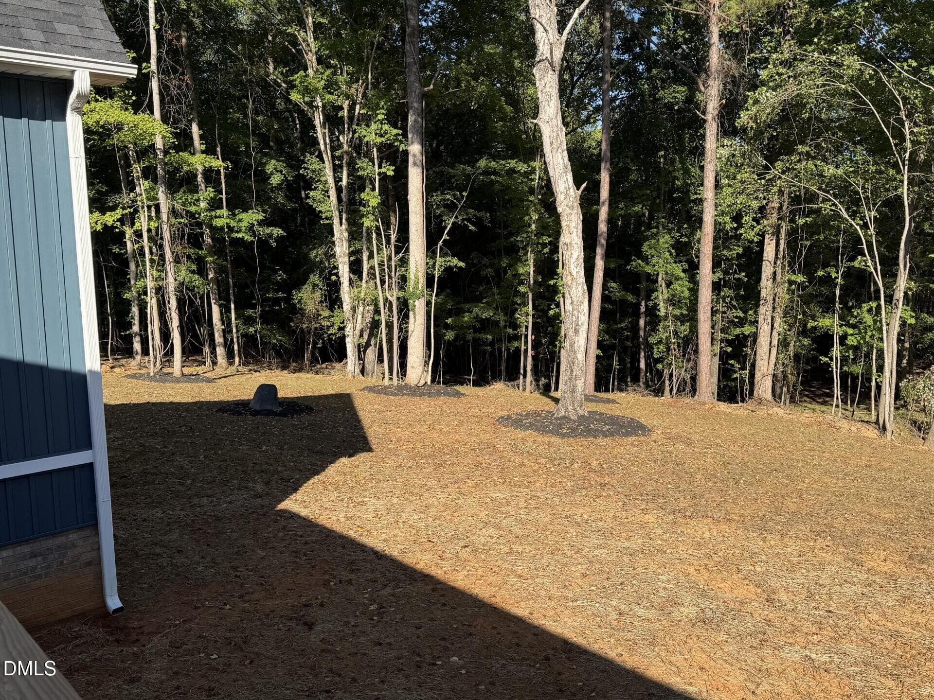 Back yard 1 - 3520 Bason Road, Mebane, NC 27302