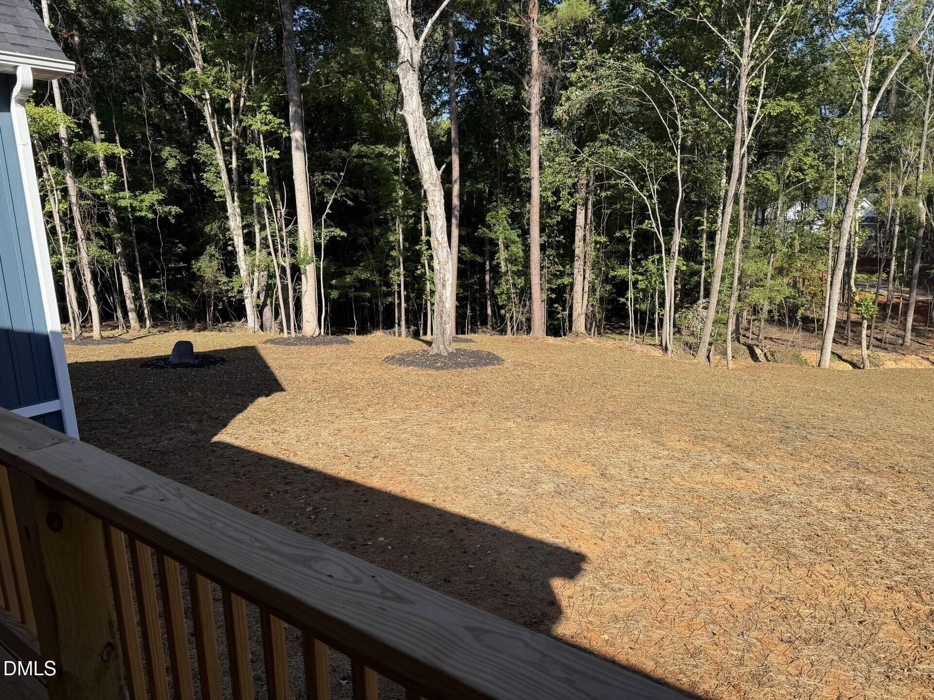 Back yard - 3520 Bason Road, Mebane, NC 27302