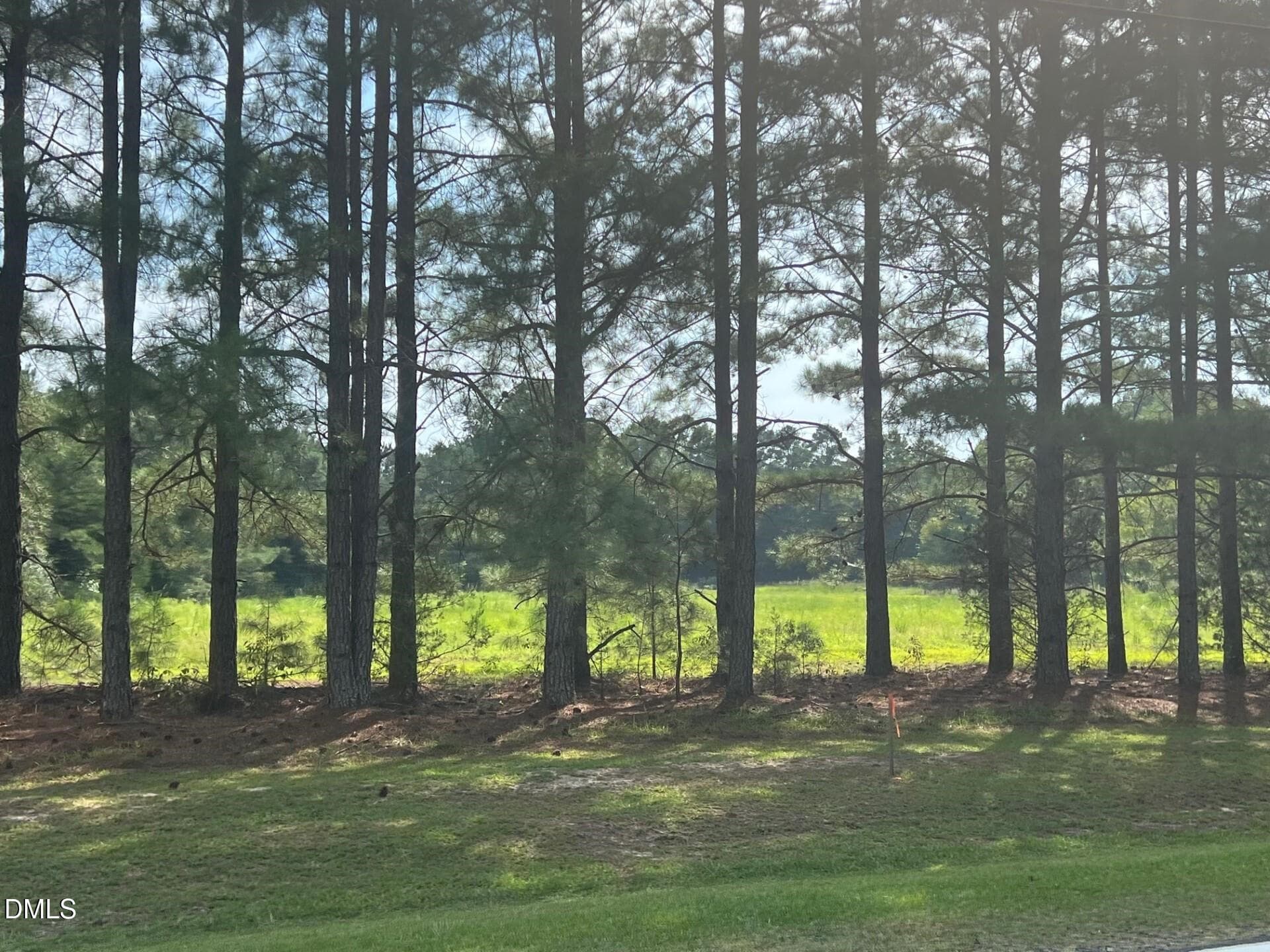 20231125101954585825000000-o - 3427 Matthews Mill Pond Road, Angier, NC 27501