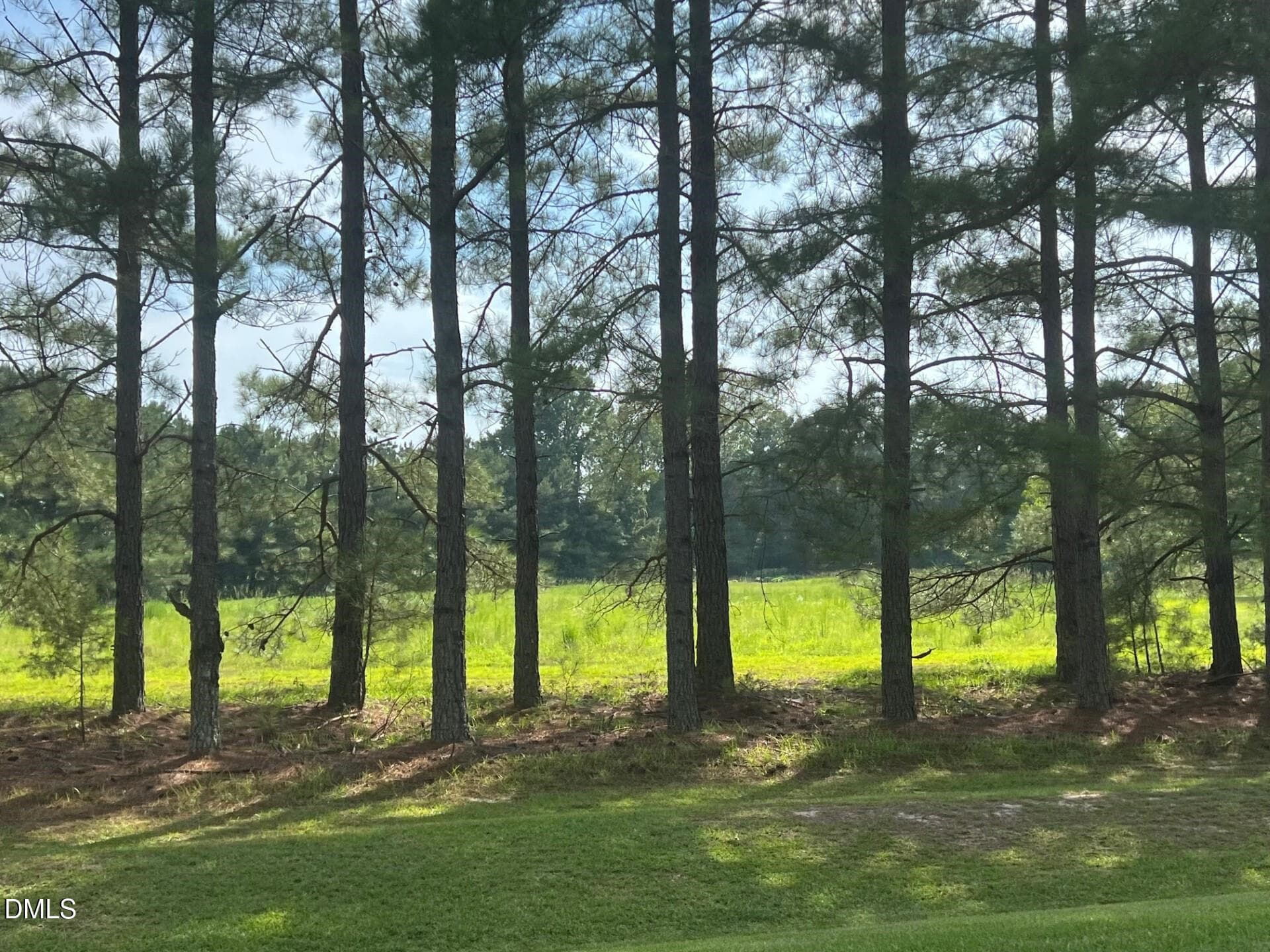 20231125101955340207000000-o - 3427 Matthews Mill Pond Road, Angier, NC 27501