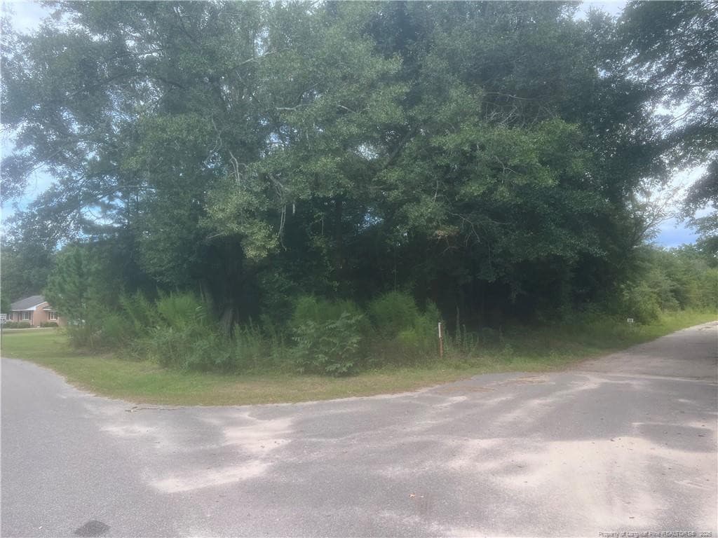 Photo 14 - ORANGE Street, Fair Bluff, NC 28439