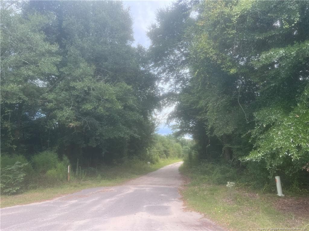 Photo 15 - ORANGE Street, Fair Bluff, NC 28439