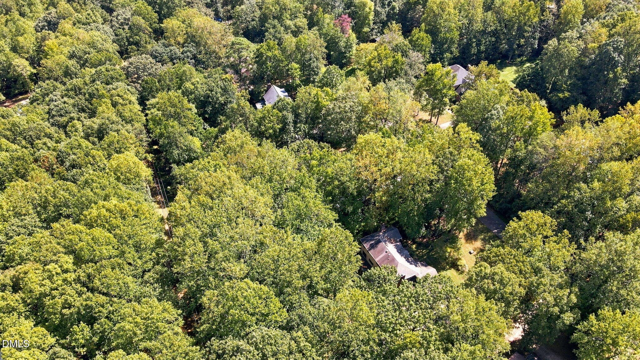 95-web-or-mls-DJI_0435 - 301 Get-a-way Lane, Bahama, NC 27503, Bahama
