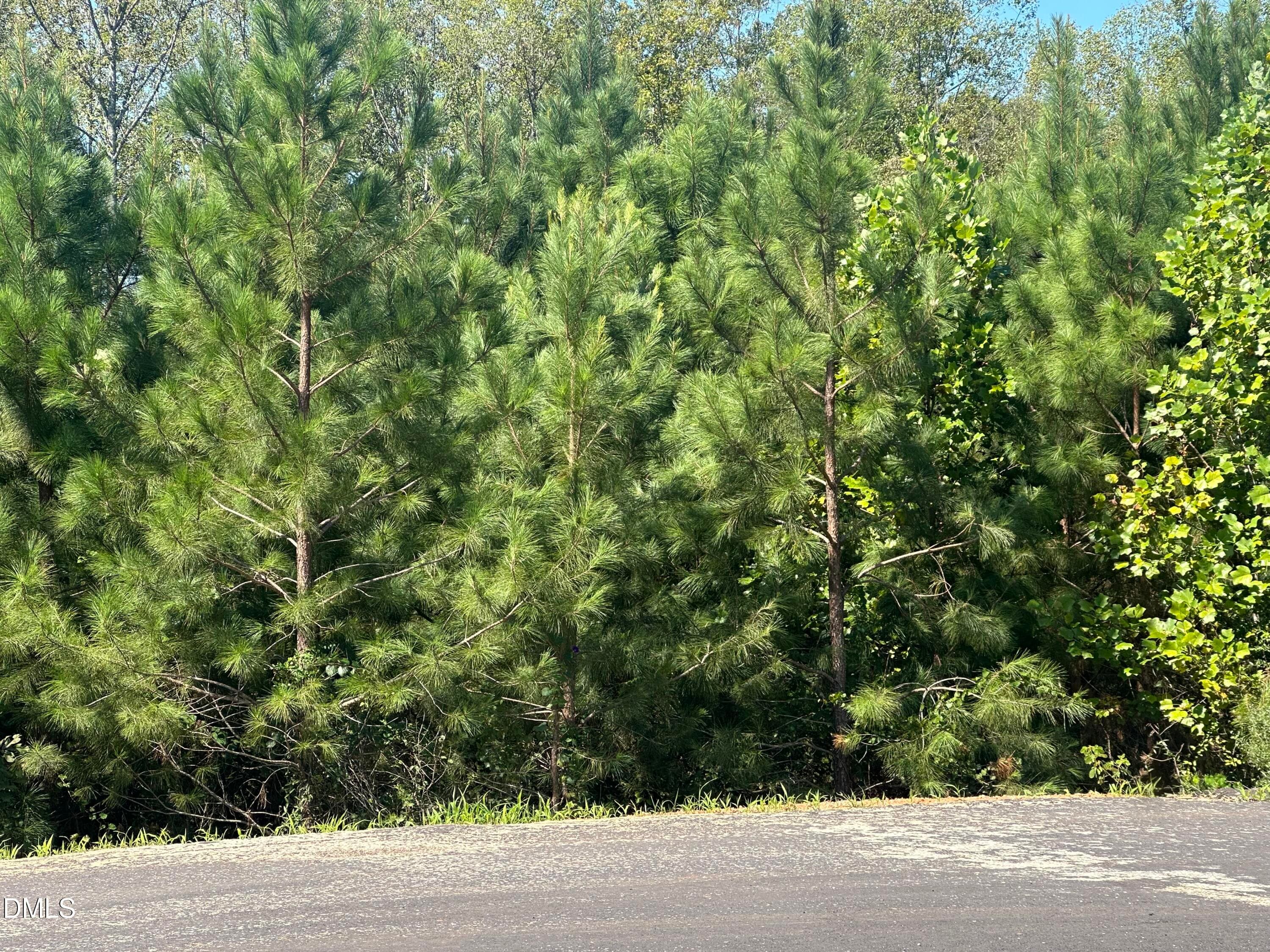 Lot 15 0 W Old Spring Hope Rd, Spring Hope, NC 27882