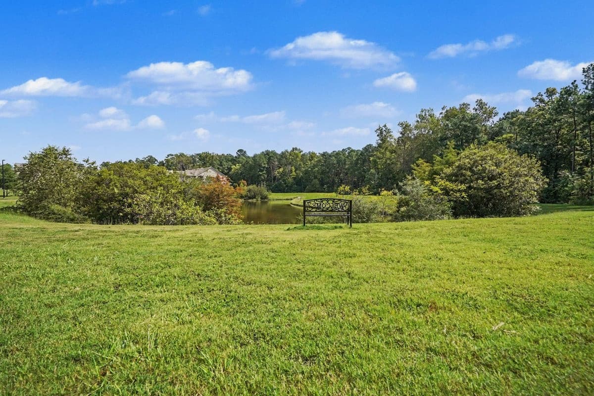 Community gathering - 1115 Lotus Lilly Drive, Durham, NC 27713