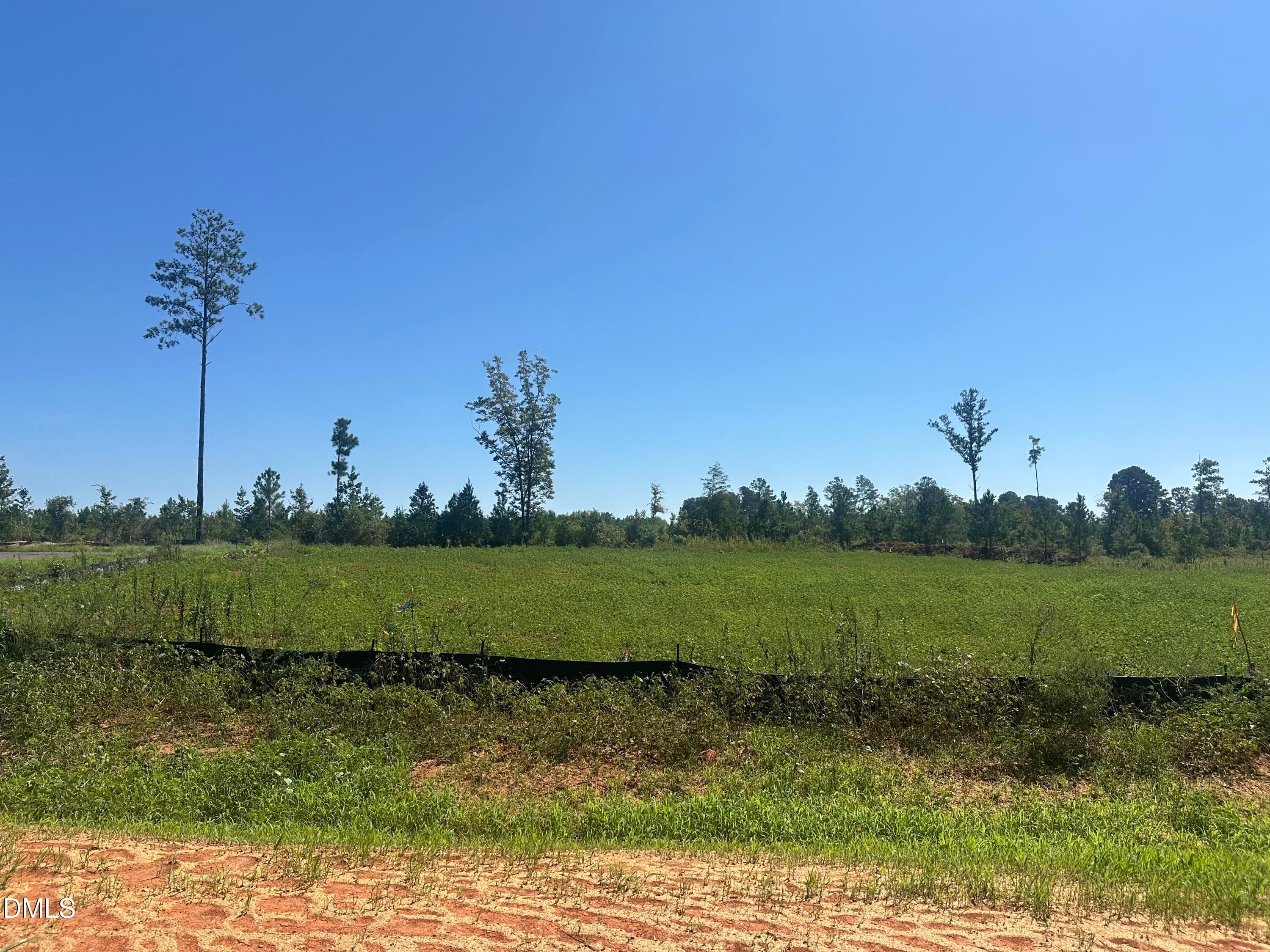 Lot 3 0 W Old Spring Hope Rd, Spring Hope, NC 27882