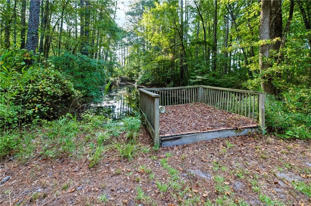 Photo 38 - 332 & 338 Docs Road, Lillington, NC 27546