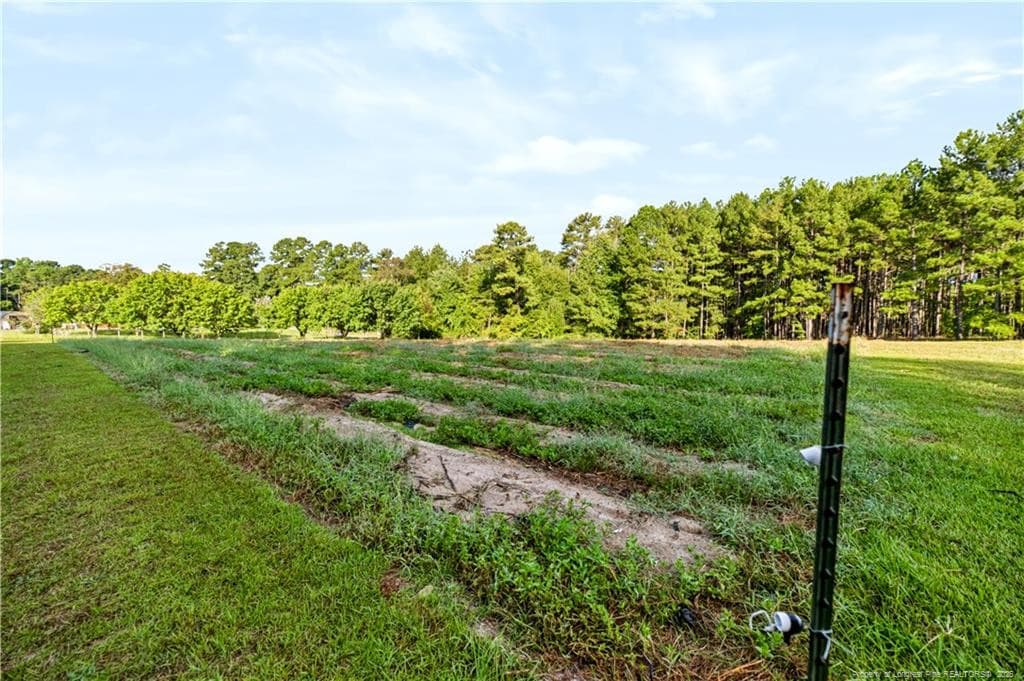 Photo 46 - 332 & 338 Docs Road, Lillington, NC 27546