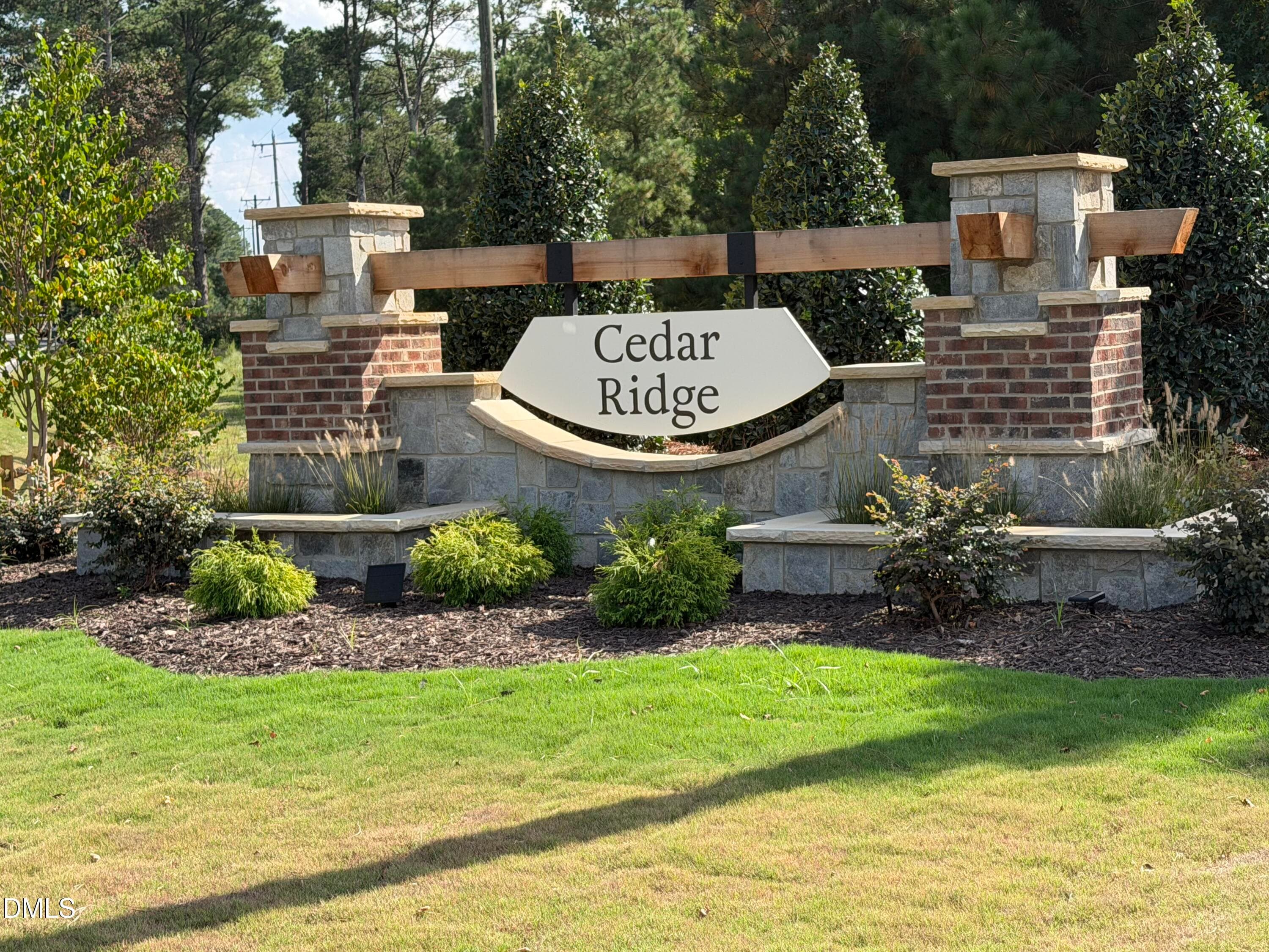IMG_0233 (1) - 216 Cedar Ridge Trl, Angier, NC 27501