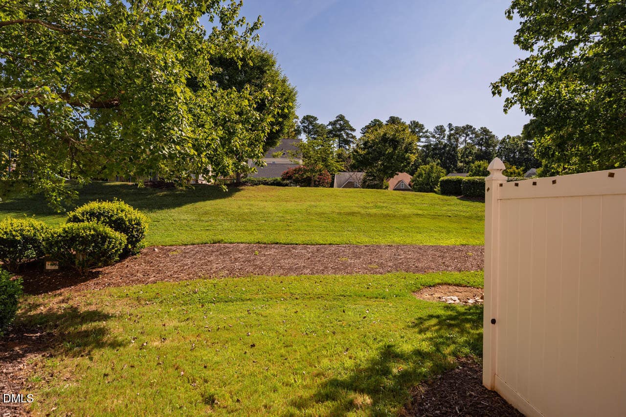 Backyard - 255 Bally Shannon Way, Apex, NC 27539