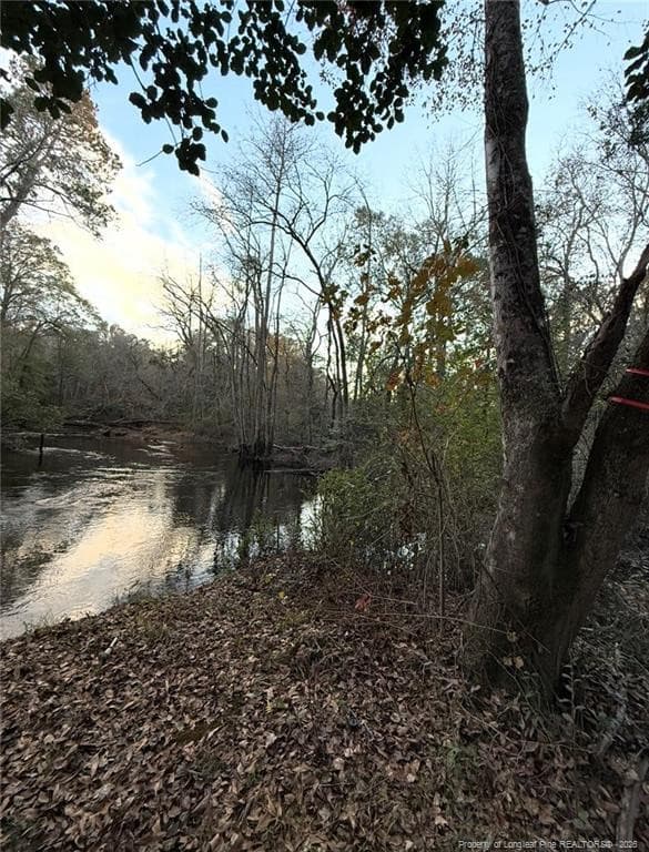Photo 2 - Higgins Lane, Raeford, NC 28376