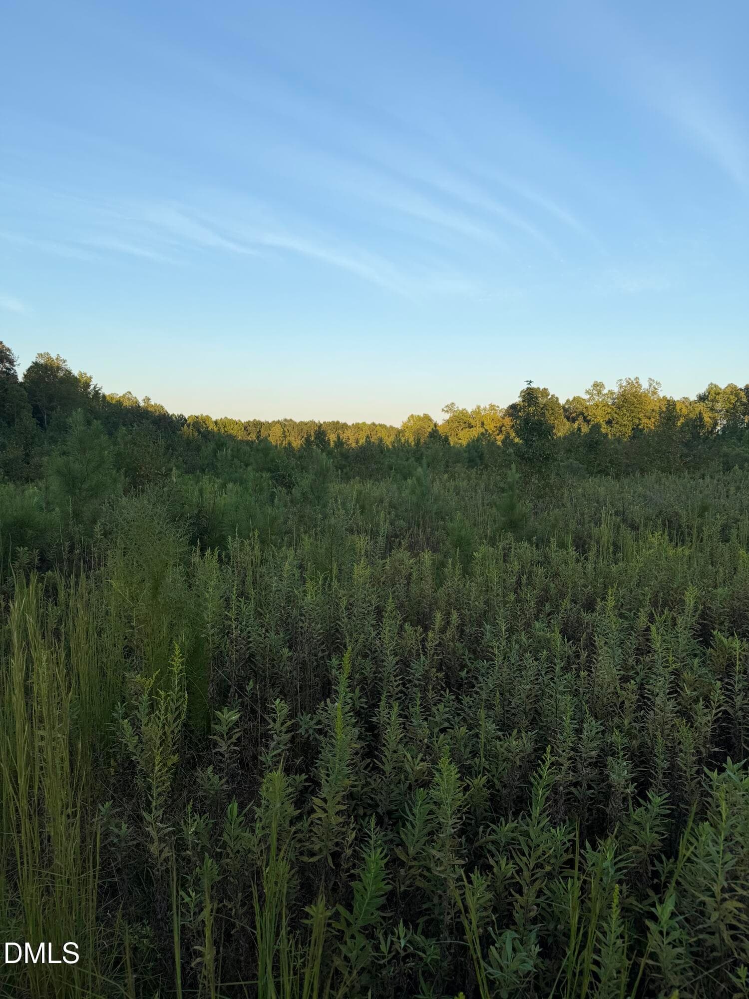 12ac photo - 12 Acres Hope Creek Trail, Spring Hope, NC 27882
