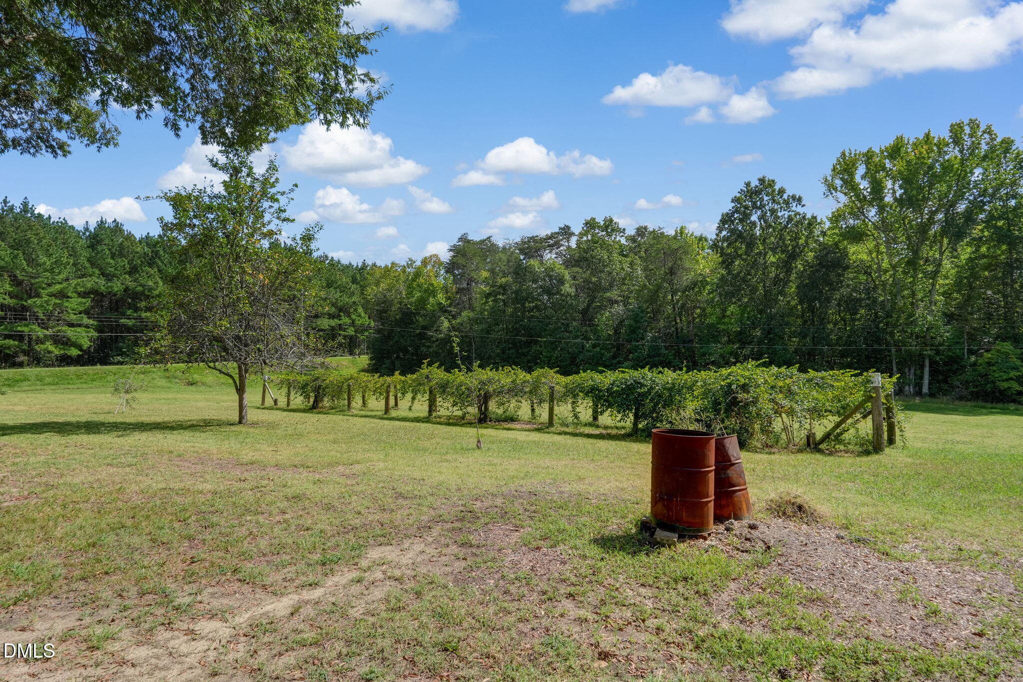 40-web-or-mls-4108 Union Ridge-15 - 4108 Union Ridge Road, Burlington, NC 27217