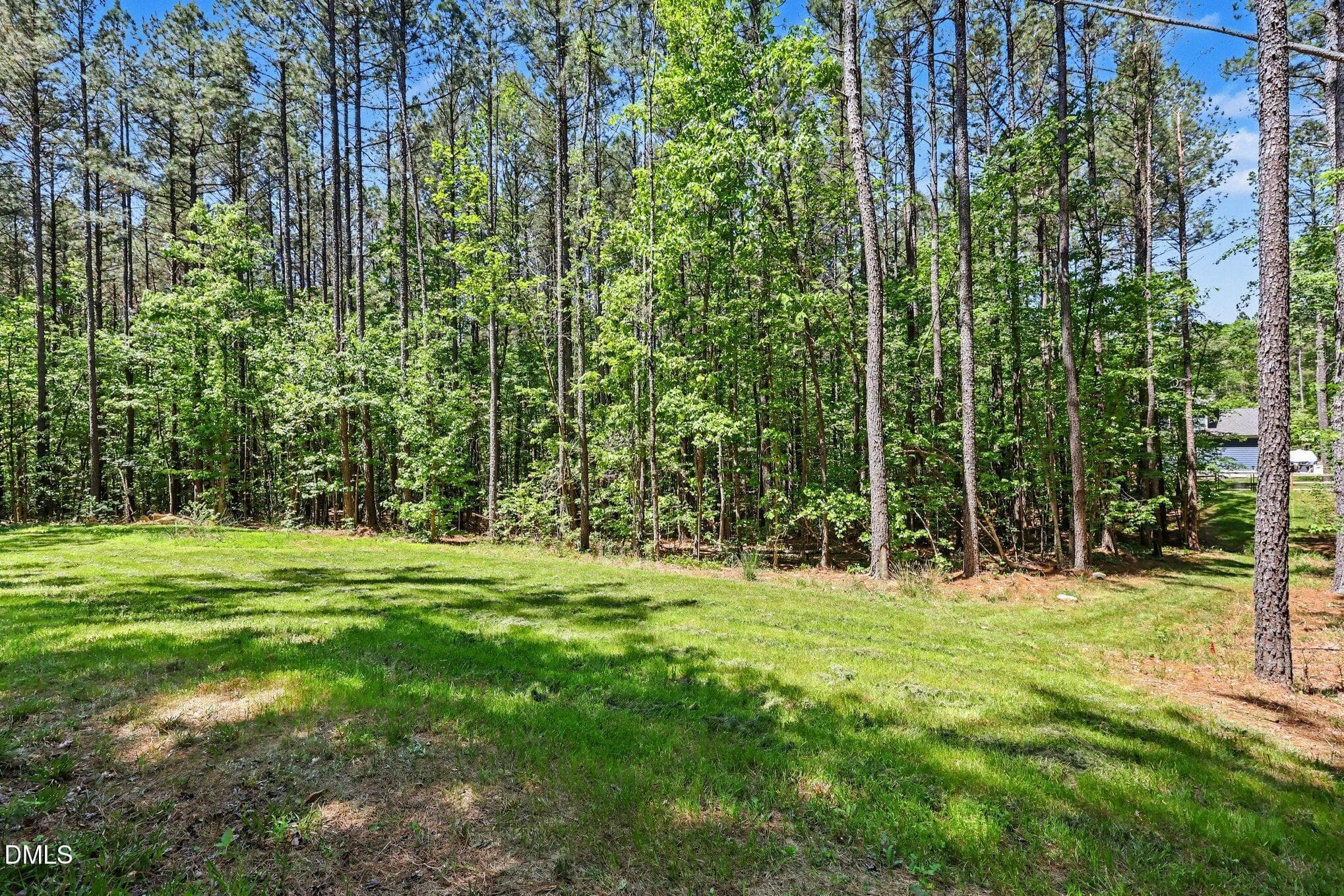 054_042_file_8390_469_580 - 98 Anneliis Lane, Siler City, NC 27344