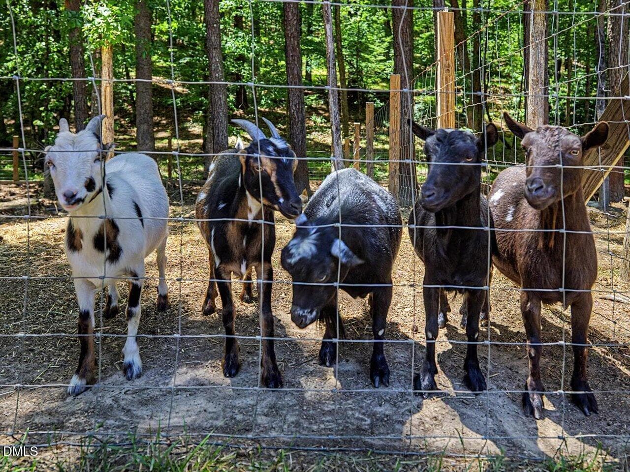 198-5 Shaded Enclosures - 1101 New Hope Church Road, Apex, NC 27523