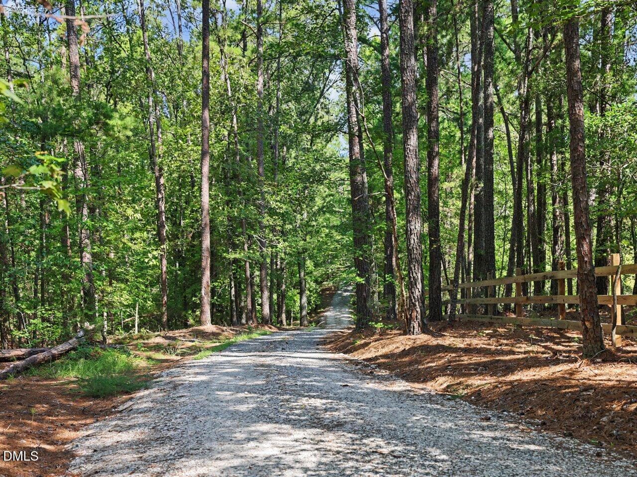 231-Driveway - 1101 New Hope Church Road, Apex, NC 27523