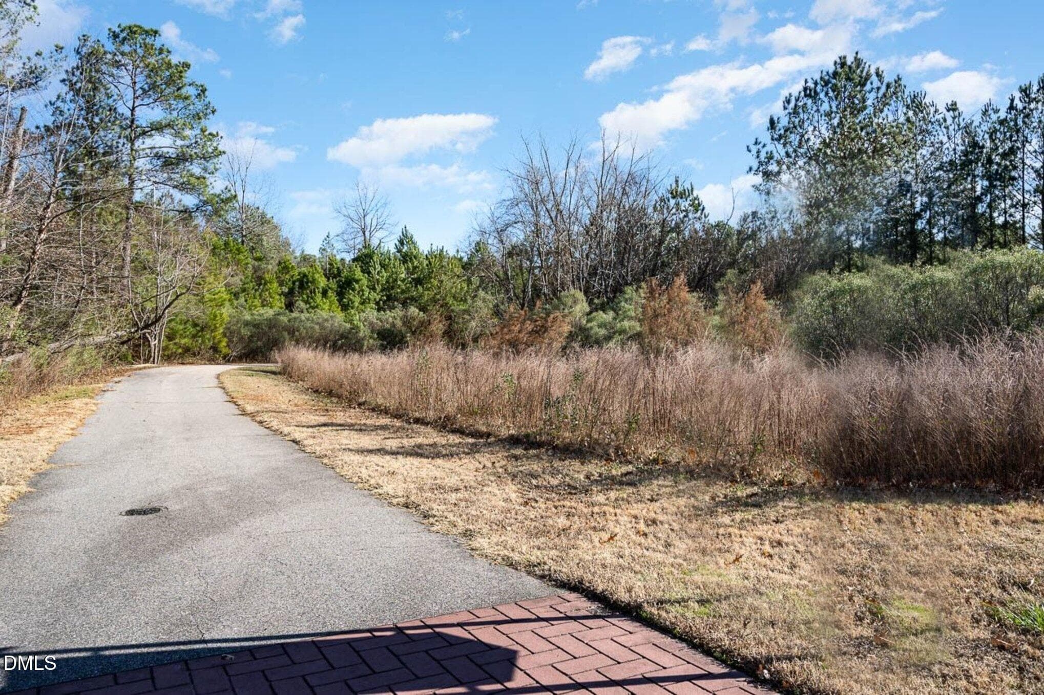 608 trails - 608 Peninsula Forest Place, Cary, NC 27519