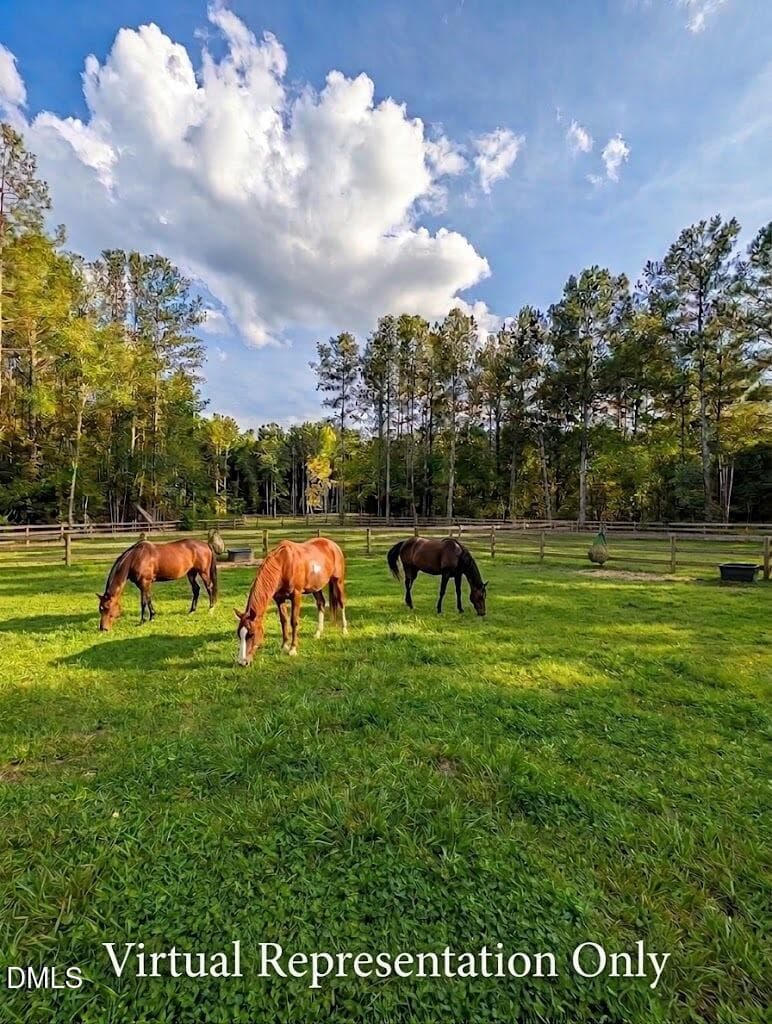 Horses - Virtual - 145 Talicud Trail, Apex, NC 27539