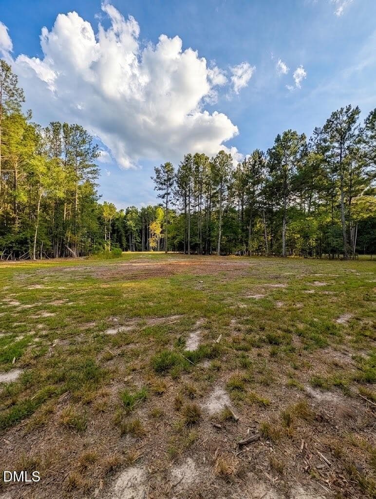 Cleared Area - 145 Talicud Trail, Apex, NC 27539