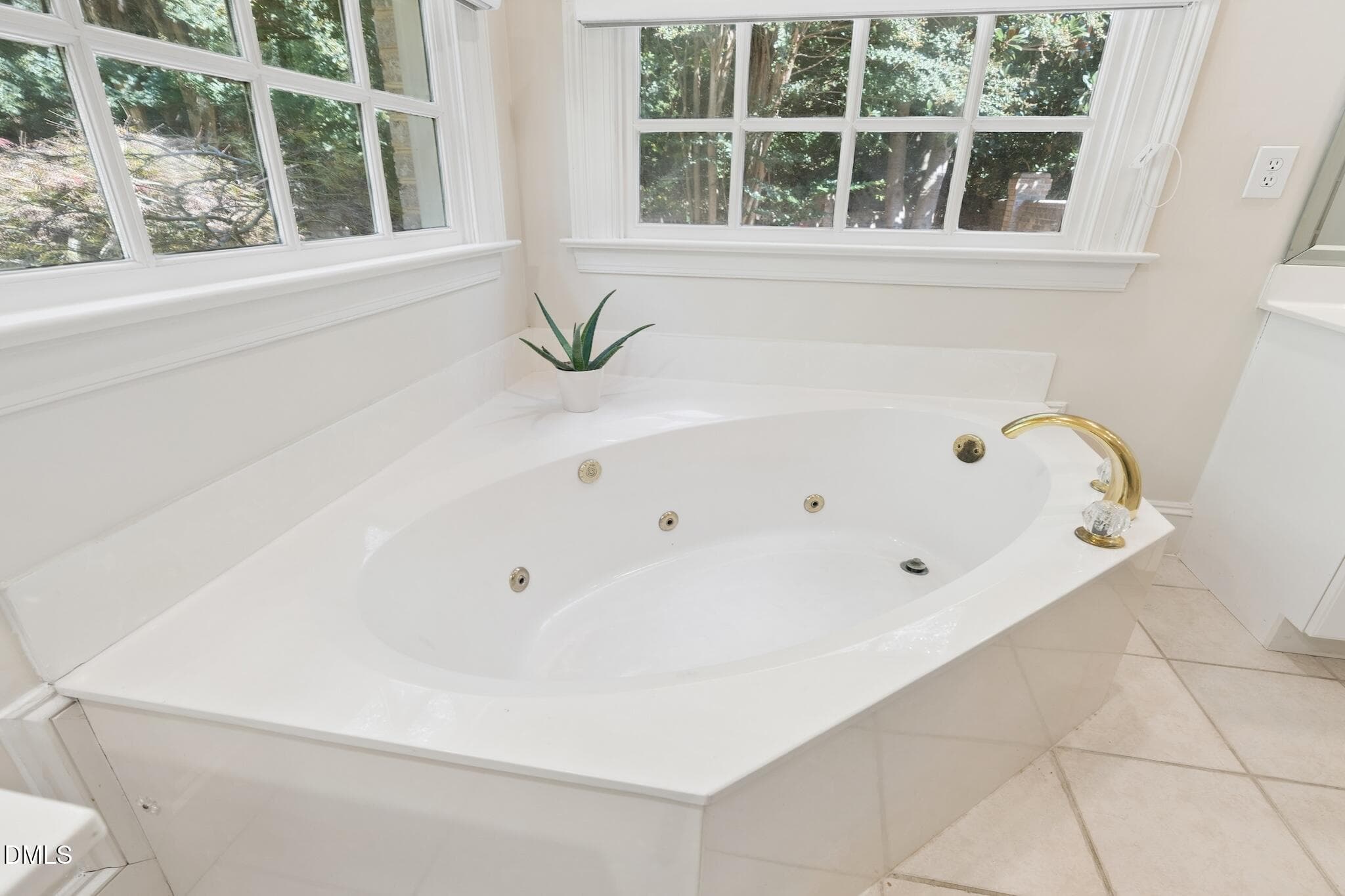 DSC08519 - 4901 Oakmoor Court, Raleigh, NC 27614