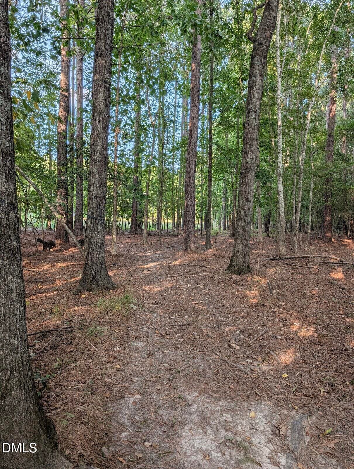 Trail System - 145 Talicud Trail, Apex, NC 27539
