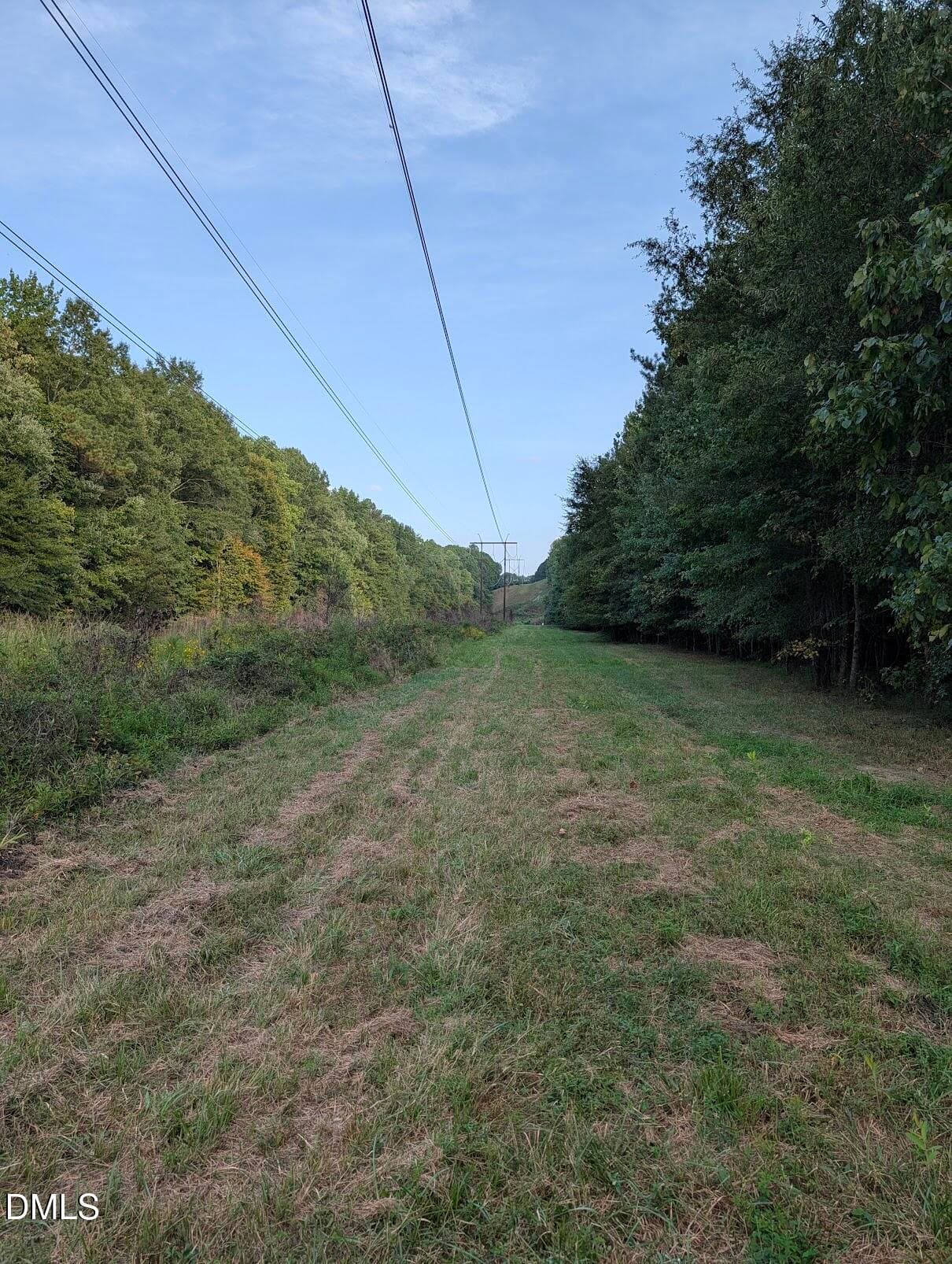 Powerline Easement - 145 Talicud Trail, Apex, NC 27539