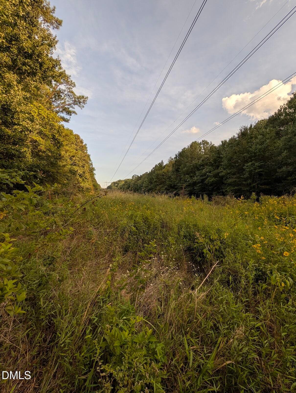 Powerline Easement - 145 Talicud Trail, Apex, NC 27539