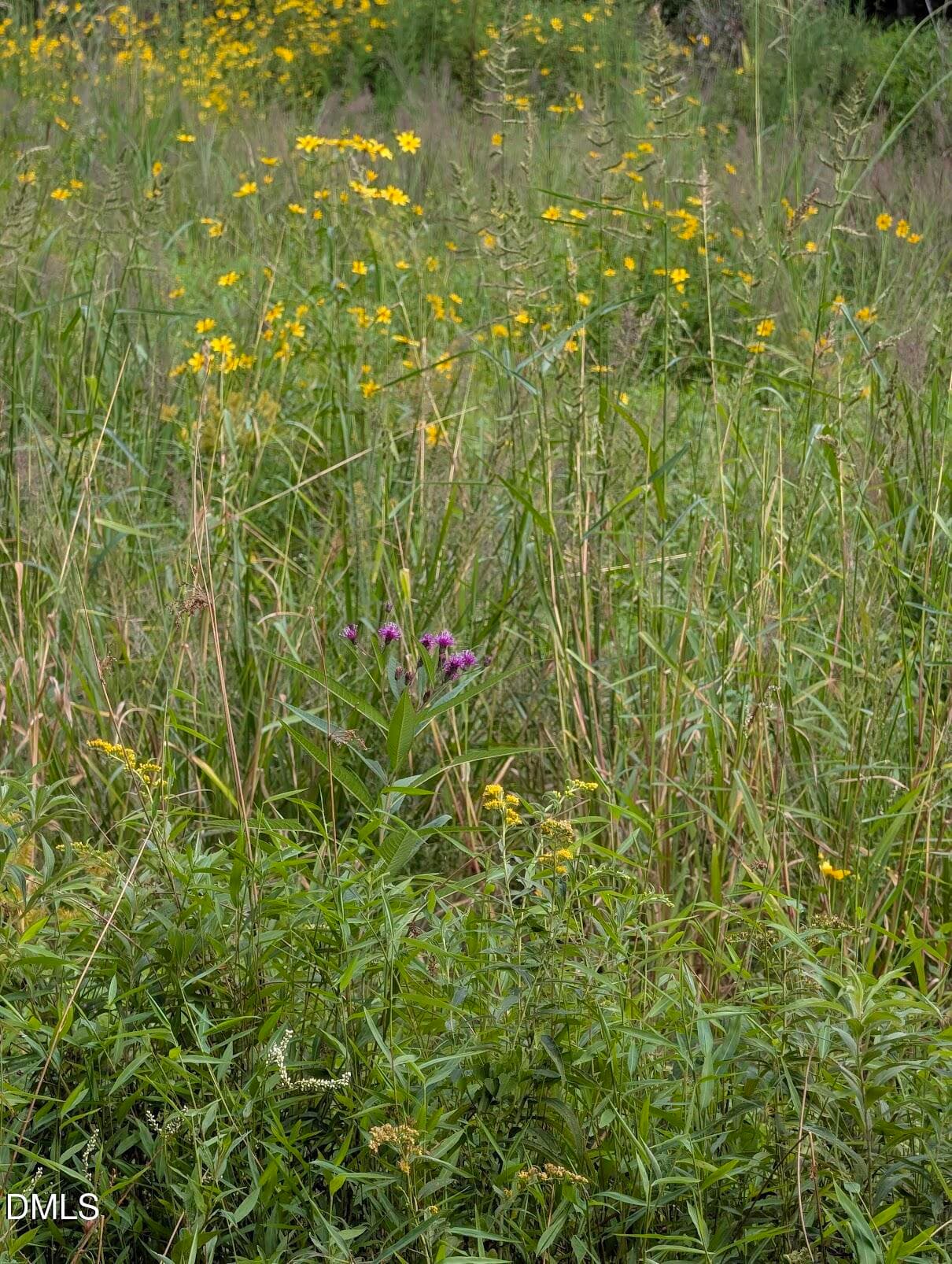 Wildflowers - 145 Talicud Trail, Apex, NC 27539