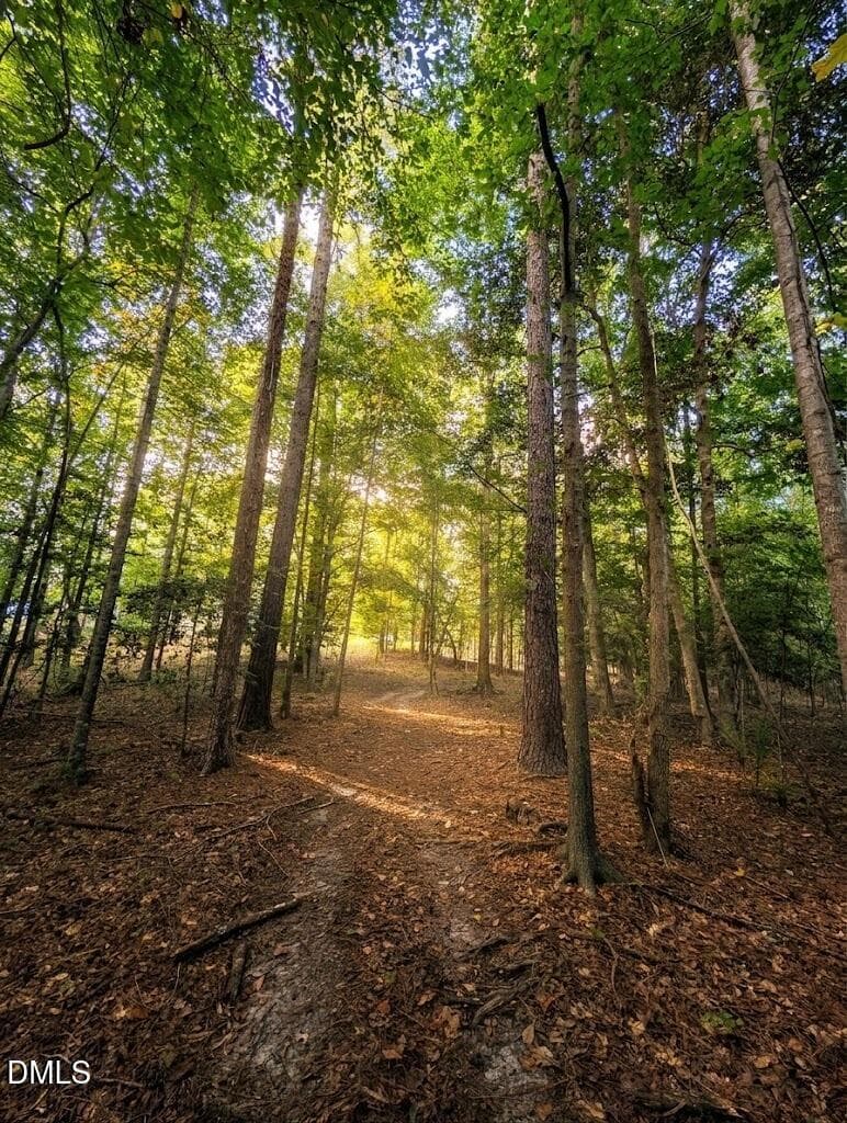Trail System - 145 Talicud Trail, Apex, NC 27539