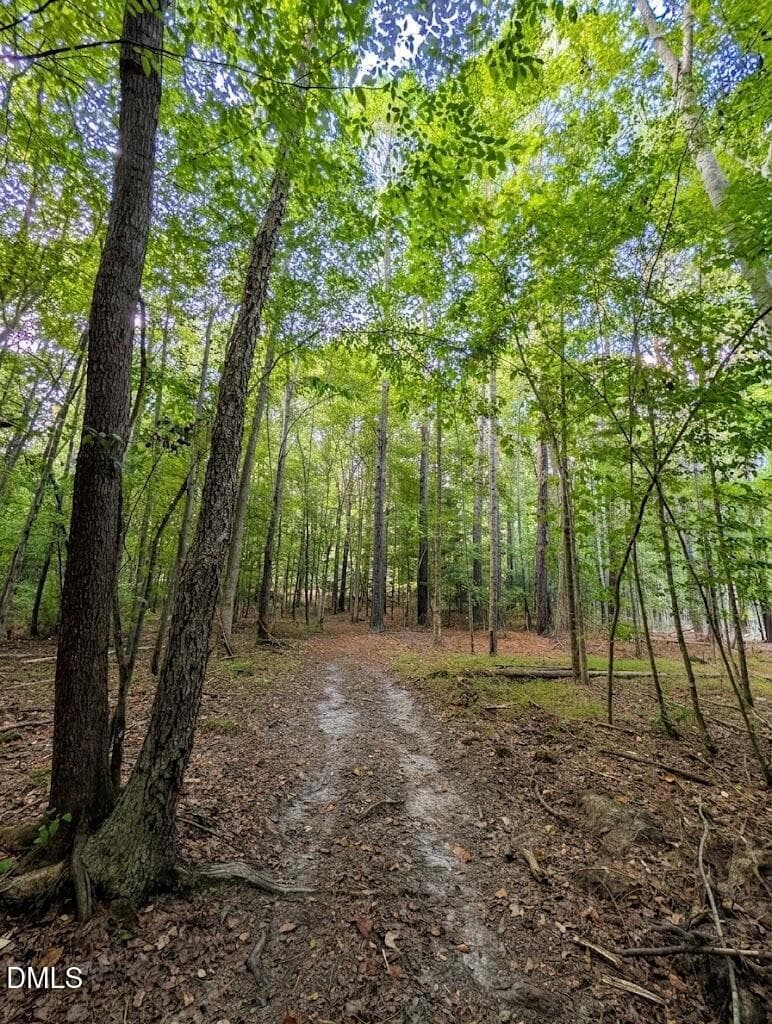 ATV Trail - 145 Talicud Trail, Apex, NC 27539