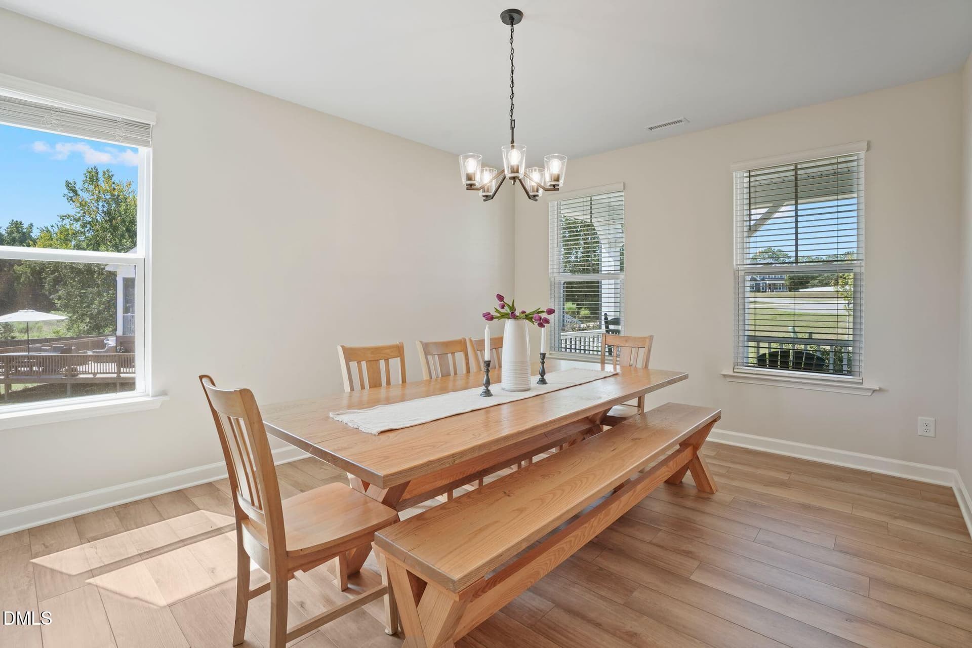 DSC04309 - 244 Harvester Road, Angier, NC 27501