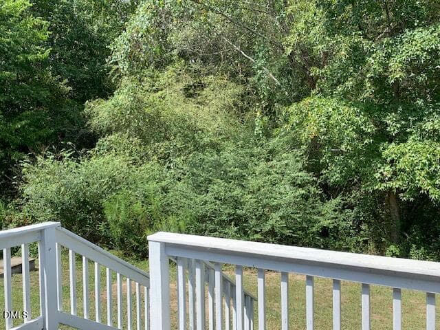 IMG_3266 - 104 Scotts Lane, Angier, NC 27501