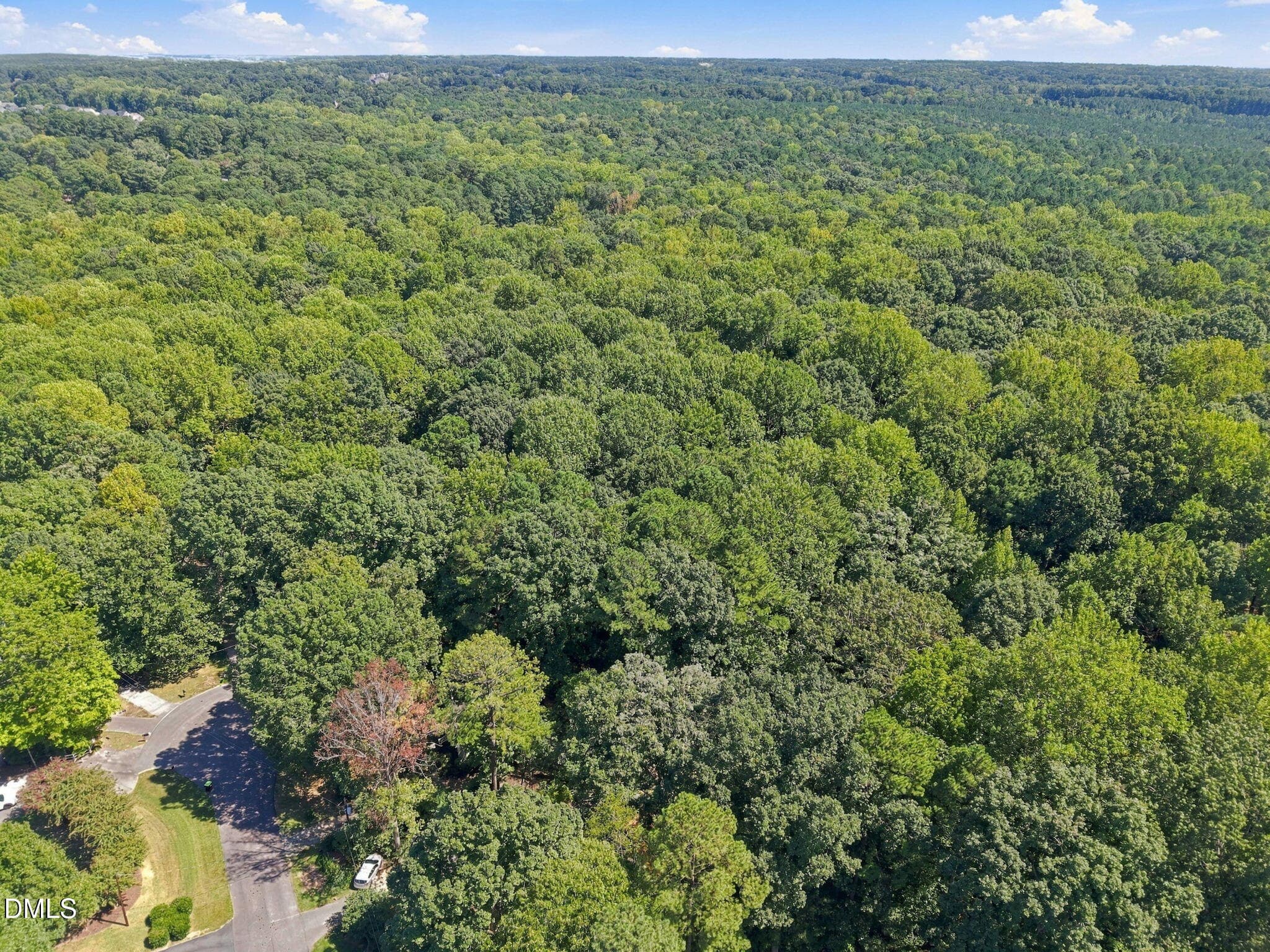 12-web-or-mls-DJI_20260917135841_0206_D - 4013 Saint Edmunds Lane, Apex, NC 27539