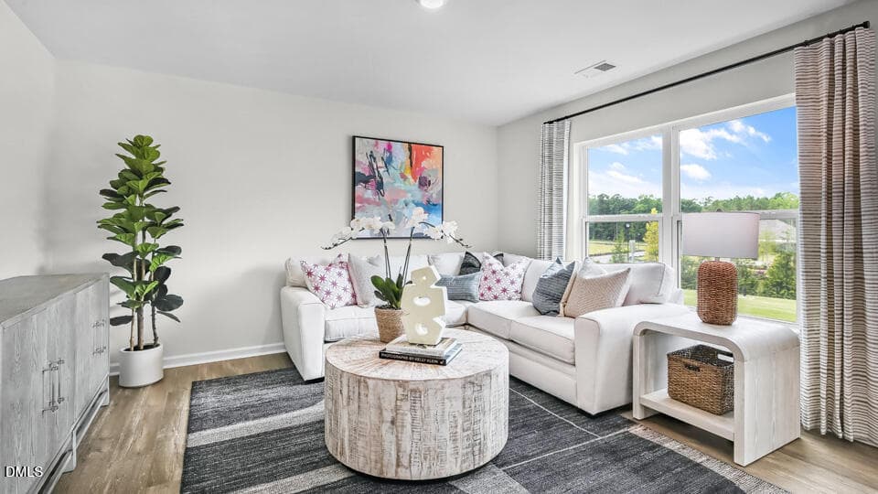 LIVING ROOM - 201 Palomino Way, Clayton, NC 27520