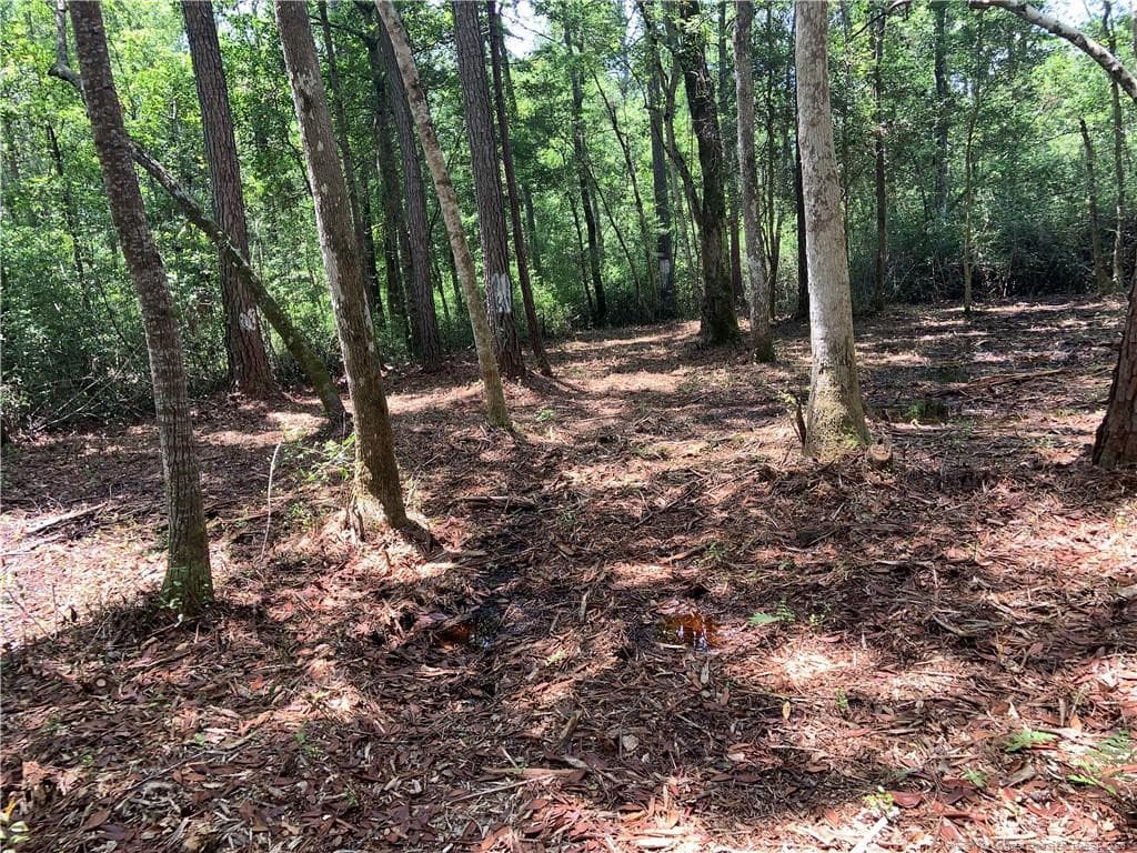 Photo 2 - Dandy Acres Lane, Supply, NC 28462
