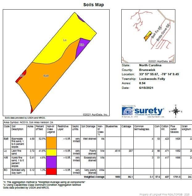 Photo 3 - Dandy Acres Lane, Supply, NC 28462