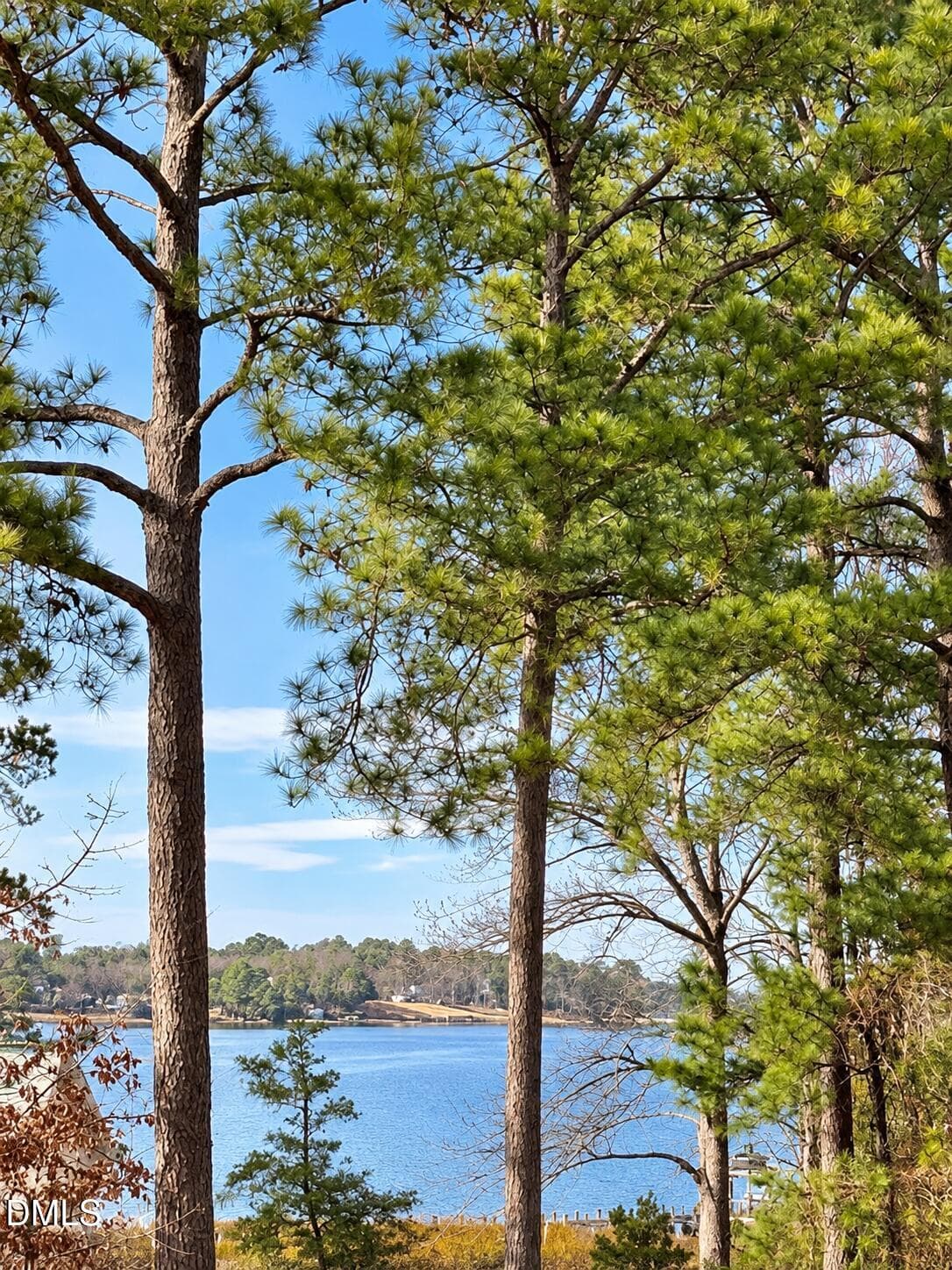 ChatGPT Image Sep 18, 2026, 01_25_33 PM - 201 Madison Court, Swansboro, NC 28584