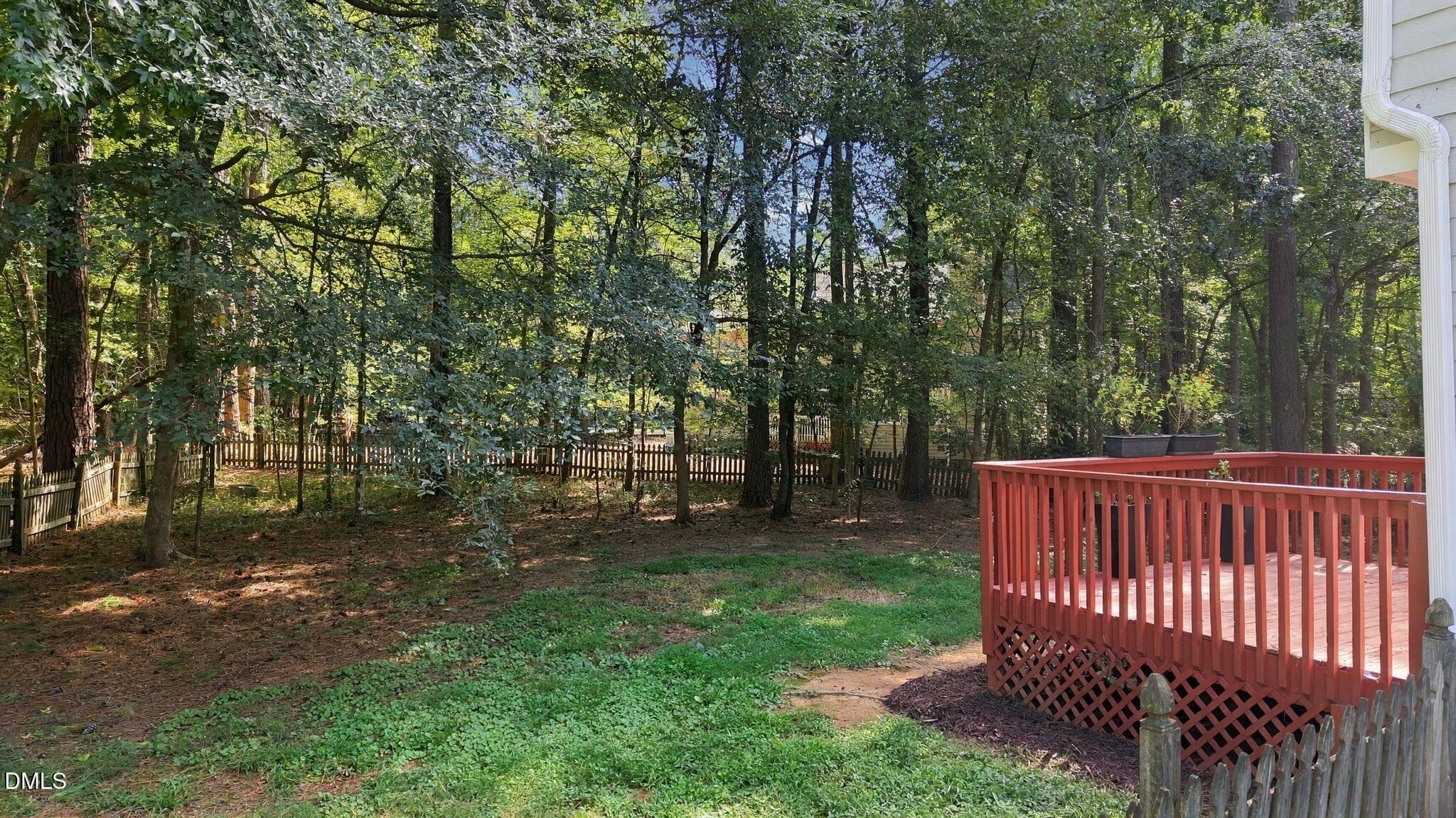 wilderness back yard - 3118 Wilderness Road, Durham, NC 27712