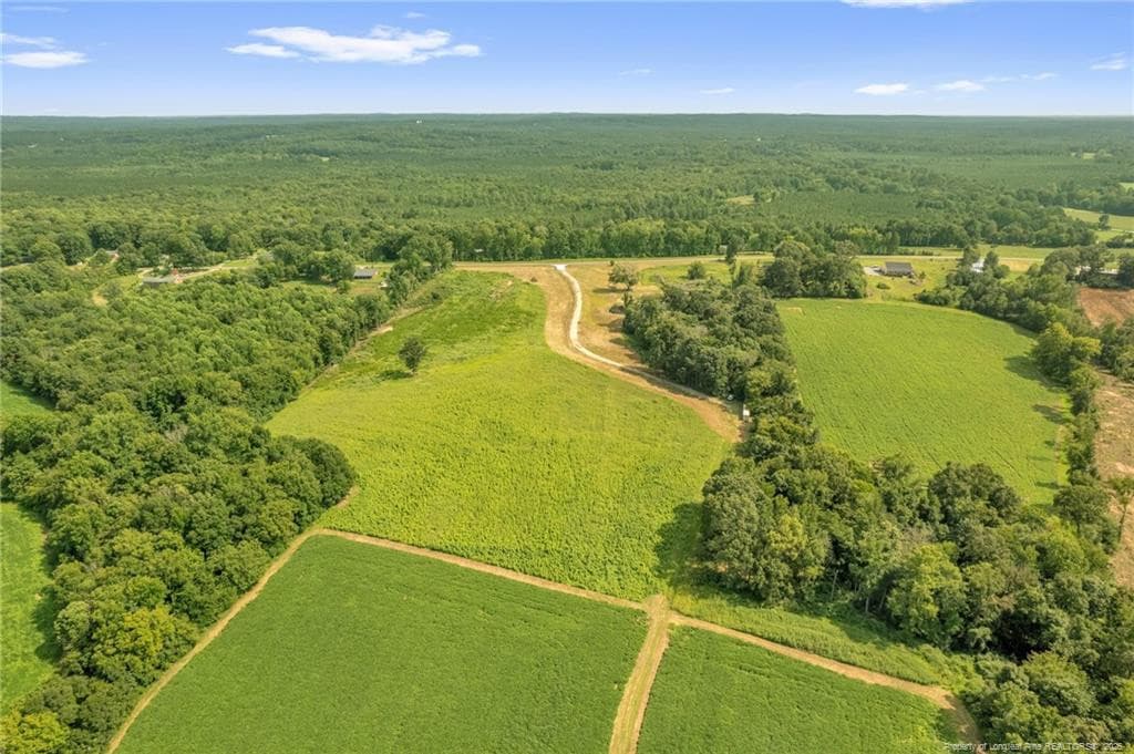 Photo 2 - 00 Laia Hills (Lot 4) Road, Siler City, NC 27344