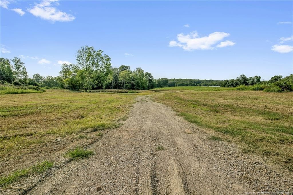 Photo 4 - 00 Laia Hills (Lot 4) Road, Siler City, NC 27344